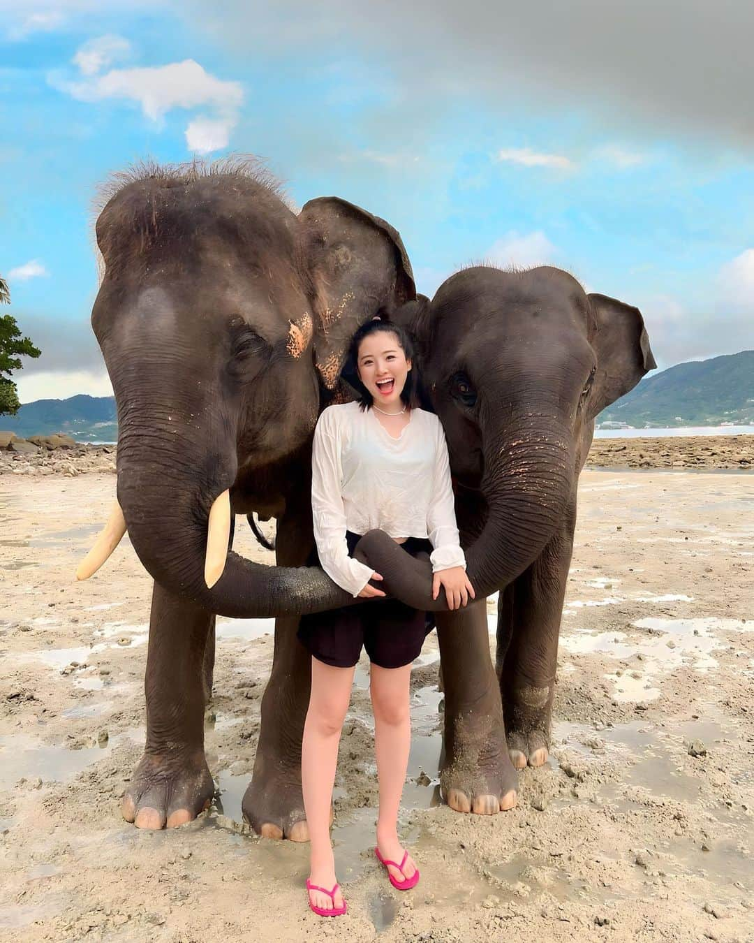 江頭ひなたさんのインスタグラム写真 - (江頭ひなたInstagram)「Elephant cute🐘💕 プーケットでは象さんとも遊びました😆象さんの写真多いから、またUPするかも！写真の整理が追いつかない…  3枚目見て‼️ 象さん自分でちゃんとゴミ袋持って帰ってるの🥺💕 可愛すぎる❤️ 4枚目も見て‼️‼️ 2頭目の象さんがね、1頭目の象さんの尻尾つかんで、並んで歩いてるの🥺💕キュンすぎる🫰  travel with @minami_matsunaka   #キュンです #elephant #phuket #プーケット #ภูเก็ต #thai #thailand #thailandtravel #travel #trip #タイ旅行 #海外旅行 #タイ #エレファントスイム #ラッキービーチ」11月9日 18時23分 - hinataeto