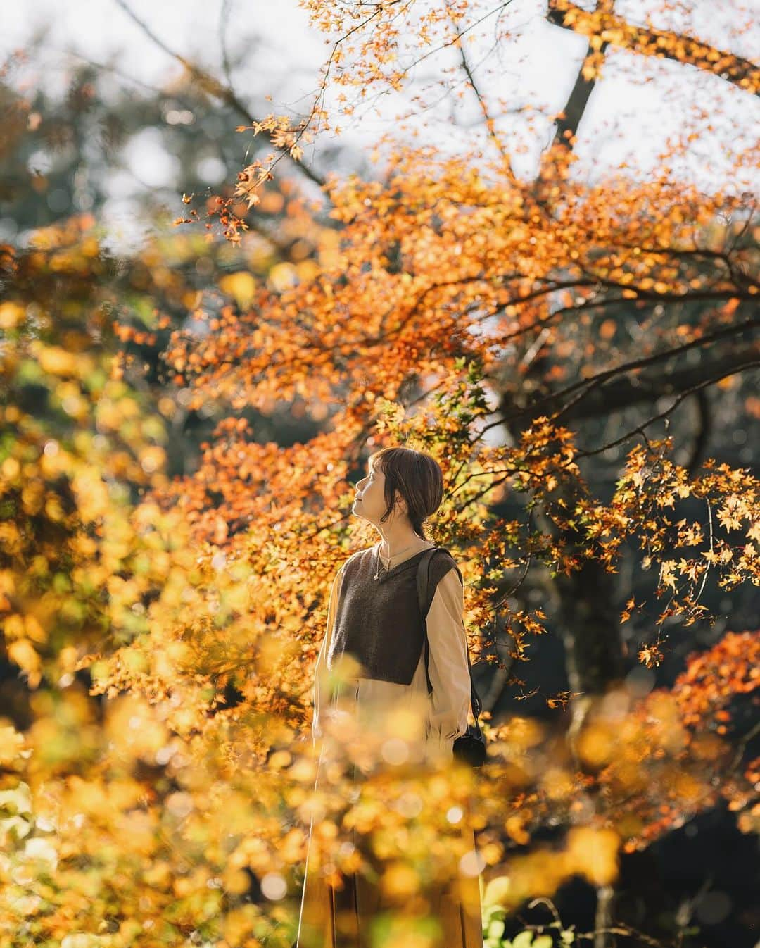 shinichi38のインスタグラム：「⁡ 秋色の雫 🍁｡ﾟ: ⁡ ⁡ ⁡ Shot on Nikon Z7Ⅱ NIKKOR Z 135mm f/1.8S(Plena) ⁡ @nikonjp #PR #nikon #z7Ⅱ #NikonZⅡ #nikoncreators  #zcreators #plena」