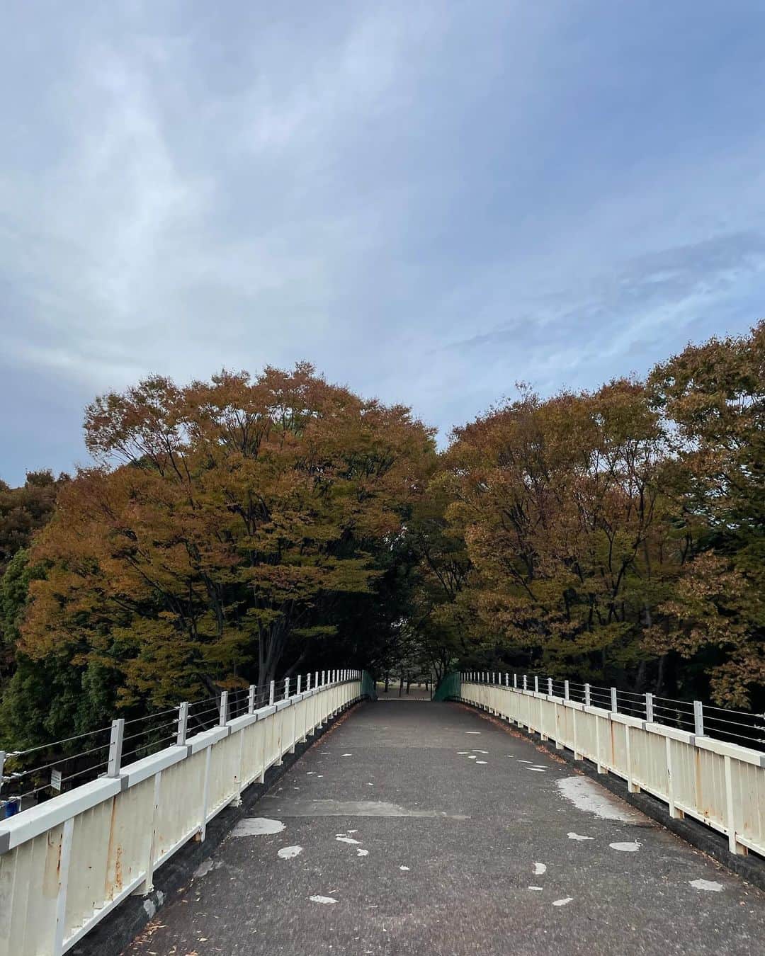 石田夢実さんのインスタグラム写真 - (石田夢実Instagram)「Autumn is here🍁🍂🤎」11月9日 18時17分 - yumemi_ishida