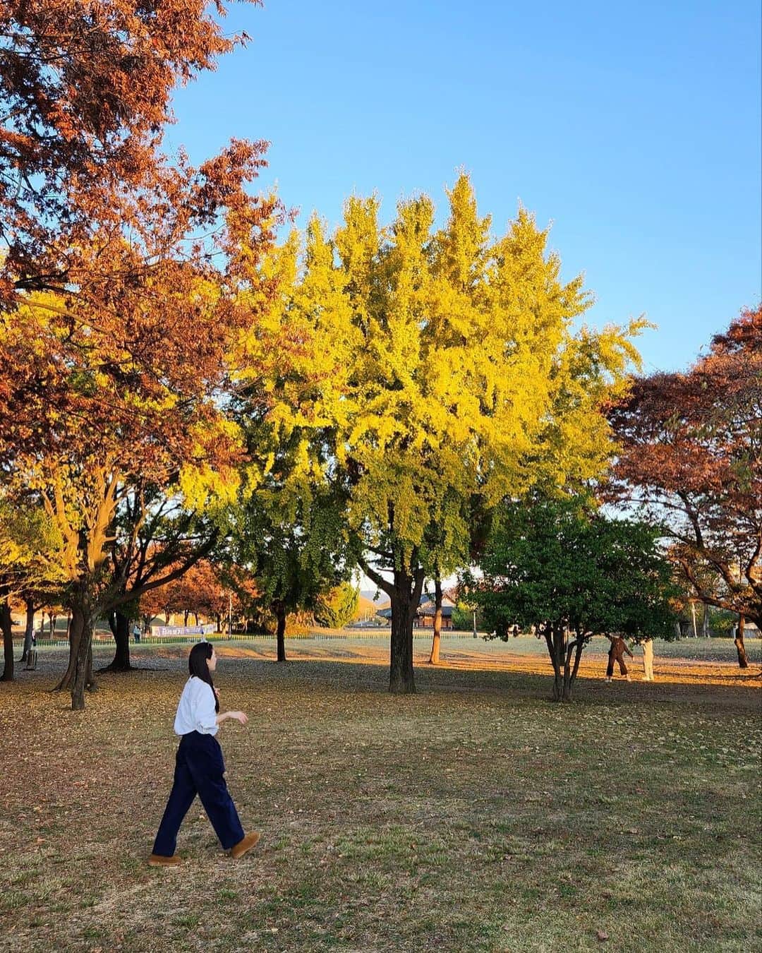 のインスタグラム：「지난지방순회중🍁🐻🐿️」