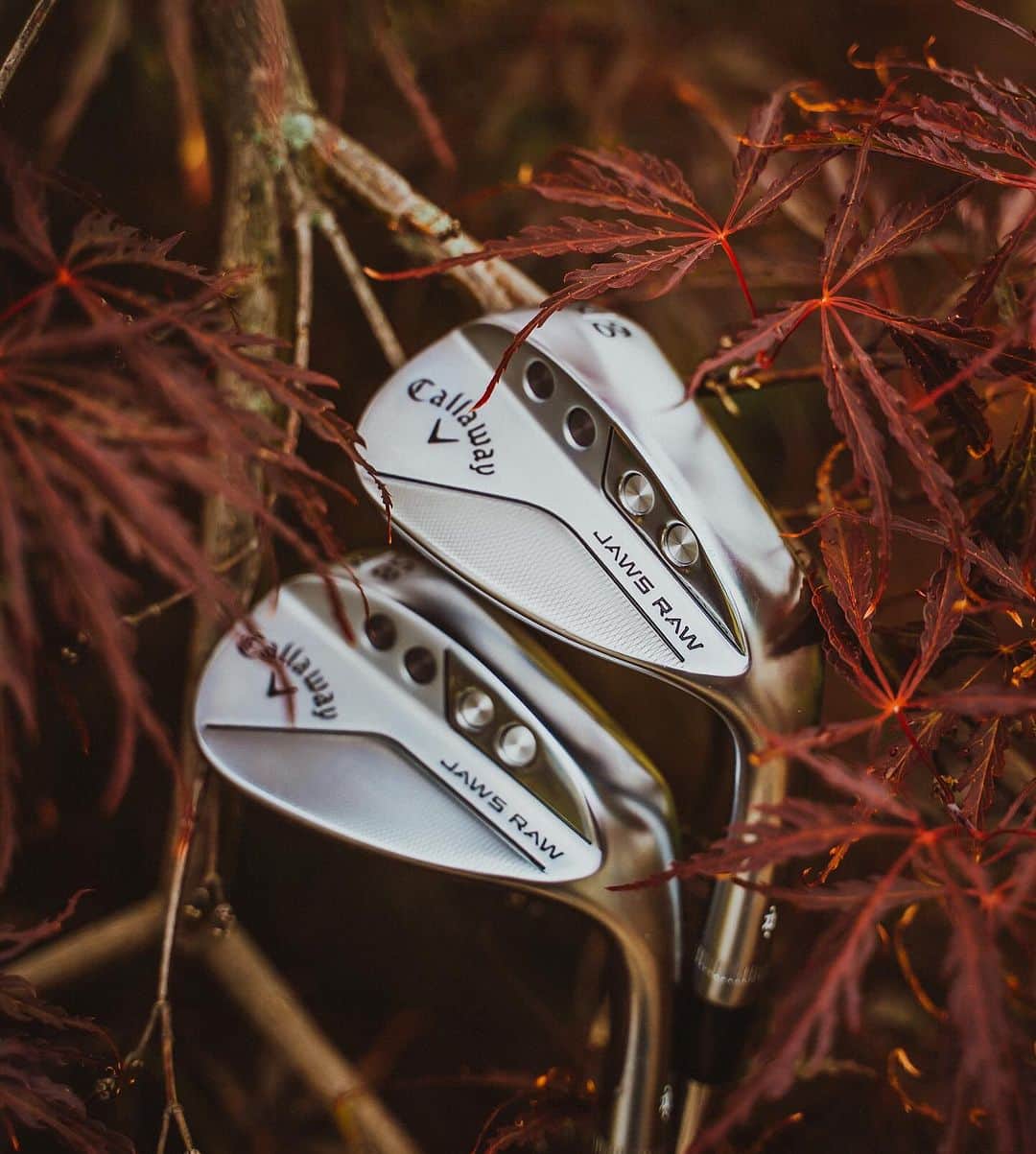 キャロウェイゴルフ（Callaway Golf）さんのインスタグラム写真 - (キャロウェイゴルフ（Callaway Golf）Instagram)「徐々に肌寒くなってきて、冬が近づきつつあることを感じる今日この頃。   ゴルフ場の木々も色づいてきましたね🍂 . . . #キャロウェイ #ゴルフ #🍁」11月17日 8時00分 - callawaygolf_japan