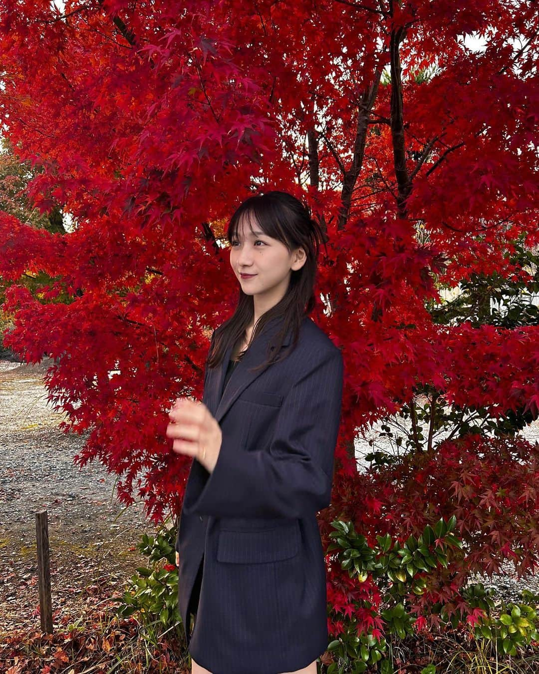 杉本愛里さんのインスタグラム写真 - (杉本愛里Instagram)「綺麗やったあ🍁🤍」11月9日 19時03分 - 12_airiyade_21