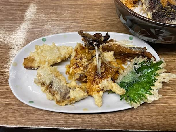 小野瀬雅生さんのインスタグラム写真 - (小野瀬雅生Instagram)「横浜橋の豊野丼で海老と野菜の天丼とアネックスワンツースリーウマウマ王☆本館の天丼は特大海老とシイタケレンコンカボチャ☆アネックスワンは太刀魚を山椒塩で☆アネックスツーは鯛を塩とワサビ醤油で☆アネックススリーはパプリカとショウガ（ピクルスかも）☆ノーガードノーオーダー☆サイコーでサイキョー☆東の横綱☆2023年11月12日〜30日は休業となります☆マスターどうぞごゆっくり☆また伺うのを楽しみにしております♫ #豊野丼 #横浜橋 #天丼 #アネックス #太刀魚 #鯛 #特大海老 #シイタケ #小野瀬雅生 #onosemasao #ウマウマ王 #ウマウマウー #東の横綱 #サイコーでサイキョー #スキスキスー #アイシテマス #しばらく休業 #どうぞごゆっくり #横浜美味礼讃」11月9日 10時30分 - onosemasao