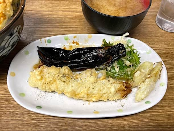 小野瀬雅生さんのインスタグラム写真 - (小野瀬雅生Instagram)「横浜橋の豊野丼で海老と野菜の天丼とアネックスワンツースリーウマウマ王☆本館の天丼は特大海老とシイタケレンコンカボチャ☆アネックスワンは太刀魚を山椒塩で☆アネックスツーは鯛を塩とワサビ醤油で☆アネックススリーはパプリカとショウガ（ピクルスかも）☆ノーガードノーオーダー☆サイコーでサイキョー☆東の横綱☆2023年11月12日〜30日は休業となります☆マスターどうぞごゆっくり☆また伺うのを楽しみにしております♫ #豊野丼 #横浜橋 #天丼 #アネックス #太刀魚 #鯛 #特大海老 #シイタケ #小野瀬雅生 #onosemasao #ウマウマ王 #ウマウマウー #東の横綱 #サイコーでサイキョー #スキスキスー #アイシテマス #しばらく休業 #どうぞごゆっくり #横浜美味礼讃」11月9日 10時30分 - onosemasao