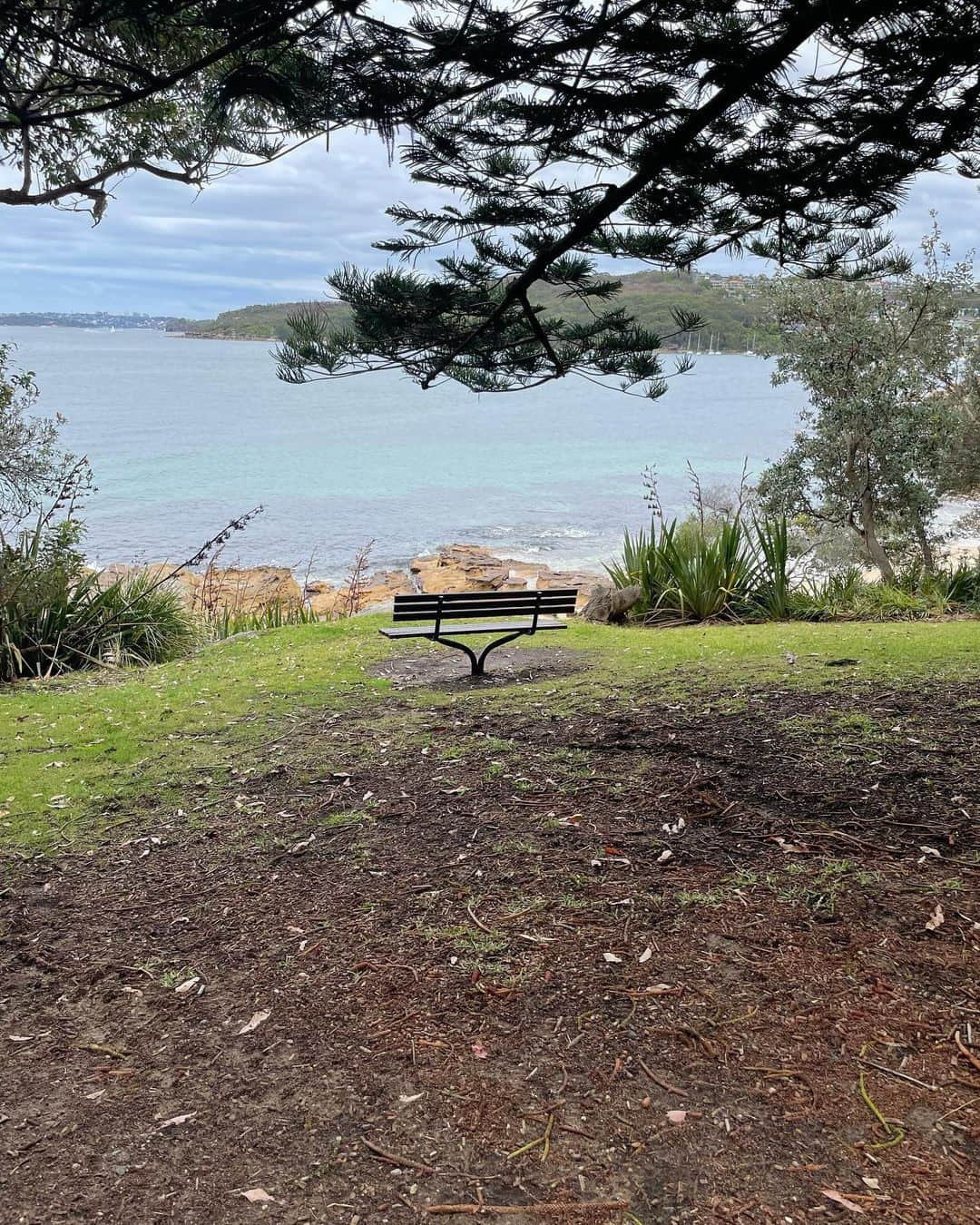 樺澤まどかさんのインスタグラム写真 - (樺澤まどかInstagram)「🇦🇺  オーストラリアに来て今日で1ヶ月  あっという間の1ヶ月だったけど 色々なことがあった濃い〜日々でした  今はひたすら自分と向き合う時間で 自分のダメなところや出来ないことが見えすぎて 自分が嫌になって最初の3週間くらいはほとんど毎日泣いてました😂😂  だけど優しすぎる方々に恵まれて どうせ死ぬんだから楽しまなきゃ勿体無い！と気づいて 今はもうただ歩いてるだけで楽しすぎる！！という Happyフェーズに入りました😂😂  朝起きた瞬間 「オーストラリアにいる！楽しい！」って思うし 外を歩いているだけでも 「景色最高！オーストラリア最高！」って思うし なんてことない日常会話でも 「英語話せた！伝わった！嬉しい！」ってなるし とにかく楽しんでいます😂😂  もっと英語を頑張ってさらに最高な日々にしていけるように 頑張ります🔥🔥  写真は通学路  毎日当たり前のようにこの景色が見られるのは 最高すぎないか！？！？  景色が綺麗なところに向かって いちいちベンチが置いてあるのが オーストラリアの好きなところ🐦  ベンチ多すぎ！ いちいち座っちゃう  #樺澤まどか  #ワーホリ#ワーキングホリデー#オーストラリア#ギリホリ#マンリー#シドニー」11月9日 11時24分 - kabasawa_madoka