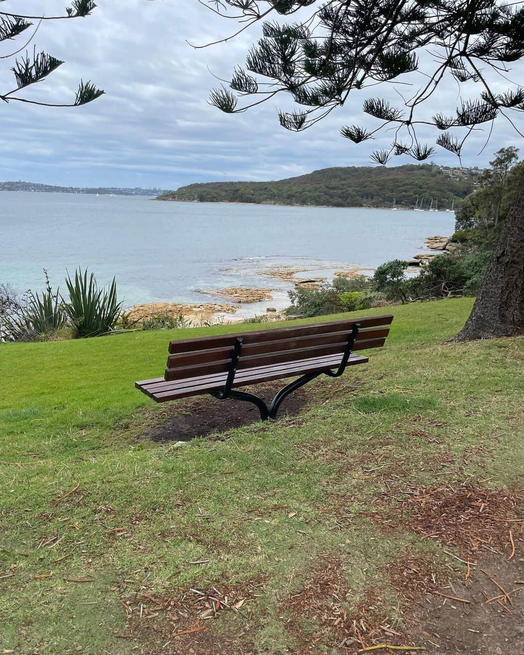 樺澤まどかさんのインスタグラム写真 - (樺澤まどかInstagram)「🇦🇺  オーストラリアに来て今日で1ヶ月  あっという間の1ヶ月だったけど 色々なことがあった濃い〜日々でした  今はひたすら自分と向き合う時間で 自分のダメなところや出来ないことが見えすぎて 自分が嫌になって最初の3週間くらいはほとんど毎日泣いてました😂😂  だけど優しすぎる方々に恵まれて どうせ死ぬんだから楽しまなきゃ勿体無い！と気づいて 今はもうただ歩いてるだけで楽しすぎる！！という Happyフェーズに入りました😂😂  朝起きた瞬間 「オーストラリアにいる！楽しい！」って思うし 外を歩いているだけでも 「景色最高！オーストラリア最高！」って思うし なんてことない日常会話でも 「英語話せた！伝わった！嬉しい！」ってなるし とにかく楽しんでいます😂😂  もっと英語を頑張ってさらに最高な日々にしていけるように 頑張ります🔥🔥  写真は通学路  毎日当たり前のようにこの景色が見られるのは 最高すぎないか！？！？  景色が綺麗なところに向かって いちいちベンチが置いてあるのが オーストラリアの好きなところ🐦  ベンチ多すぎ！ いちいち座っちゃう  #樺澤まどか  #ワーホリ#ワーキングホリデー#オーストラリア#ギリホリ#マンリー#シドニー」11月9日 11時24分 - kabasawa_madoka