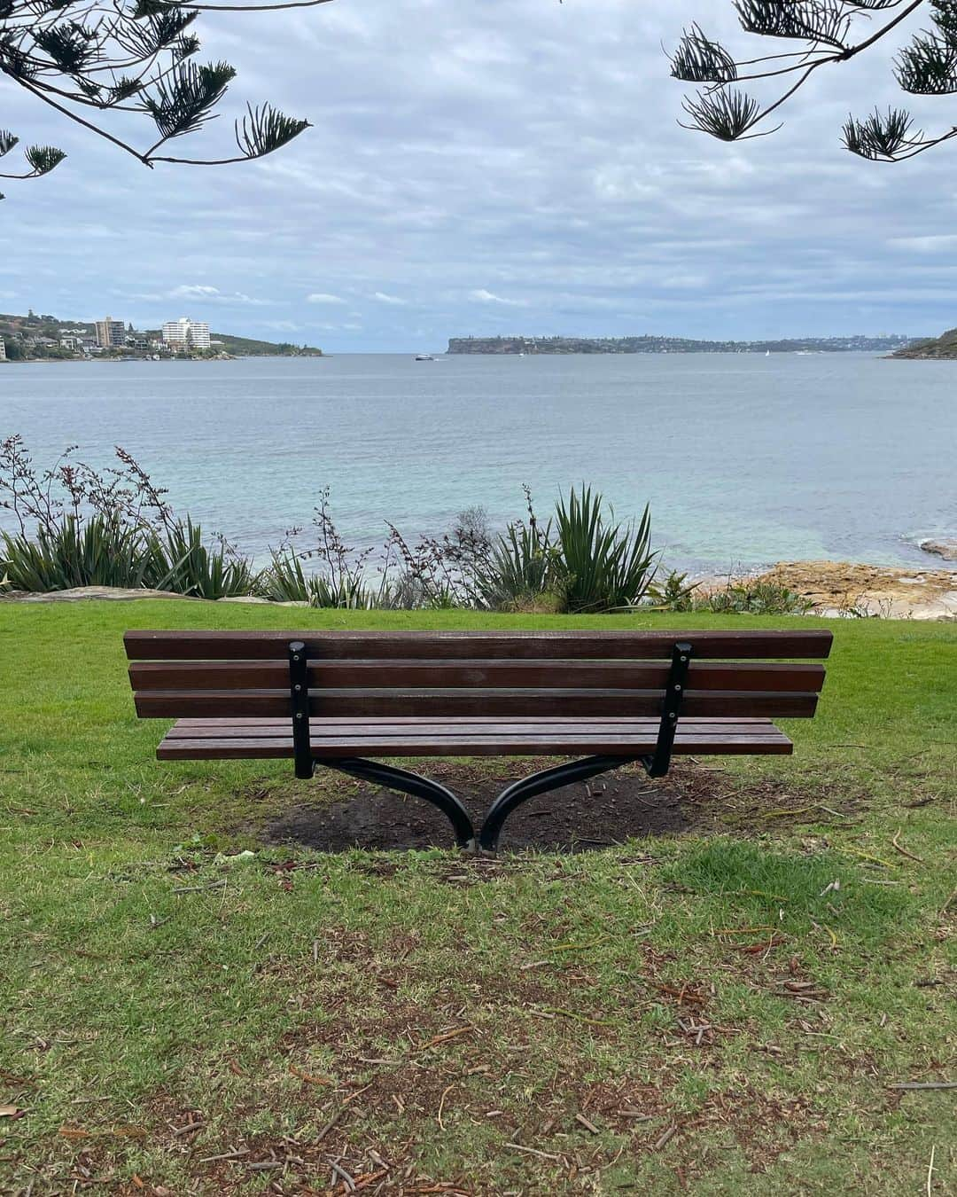 樺澤まどかのインスタグラム：「🇦🇺  オーストラリアに来て今日で1ヶ月  あっという間の1ヶ月だったけど 色々なことがあった濃い〜日々でした  今はひたすら自分と向き合う時間で 自分のダメなところや出来ないことが見えすぎて 自分が嫌になって最初の3週間くらいはほとんど毎日泣いてました😂😂  だけど優しすぎる方々に恵まれて どうせ死ぬんだから楽しまなきゃ勿体無い！と気づいて 今はもうただ歩いてるだけで楽しすぎる！！という Happyフェーズに入りました😂😂  朝起きた瞬間 「オーストラリアにいる！楽しい！」って思うし 外を歩いているだけでも 「景色最高！オーストラリア最高！」って思うし なんてことない日常会話でも 「英語話せた！伝わった！嬉しい！」ってなるし とにかく楽しんでいます😂😂  もっと英語を頑張ってさらに最高な日々にしていけるように 頑張ります🔥🔥  写真は通学路  毎日当たり前のようにこの景色が見られるのは 最高すぎないか！？！？  景色が綺麗なところに向かって いちいちベンチが置いてあるのが オーストラリアの好きなところ🐦  ベンチ多すぎ！ いちいち座っちゃう  #樺澤まどか  #ワーホリ#ワーキングホリデー#オーストラリア#ギリホリ#マンリー#シドニー」