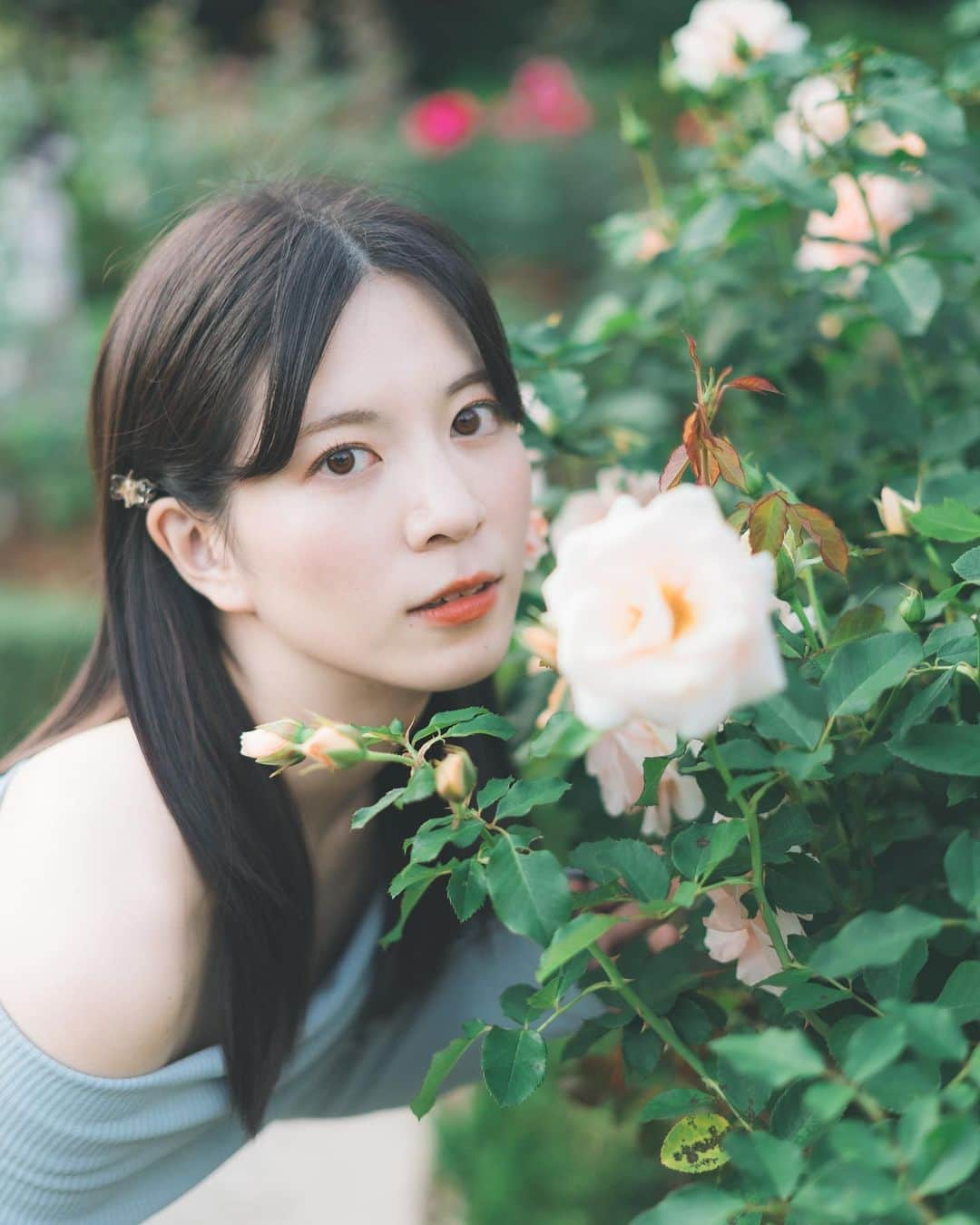 野口真由のインスタグラム：「・ 薔薇の季節って1年に2度あるんだって🌹 恥ずかしながら、今更知りました🤭💕  特典用にミスコンの時からお世話になっているカメラマンさんに撮って頂きました✨️やっぱりいつも素敵に撮ってくださる大感謝😖💧  #旧古河庭園バラ園  #旧古河庭園  #駒込グルメ  #駒込カフェ  #駒込ランチ  #ポートレート #ポートレート撮影」