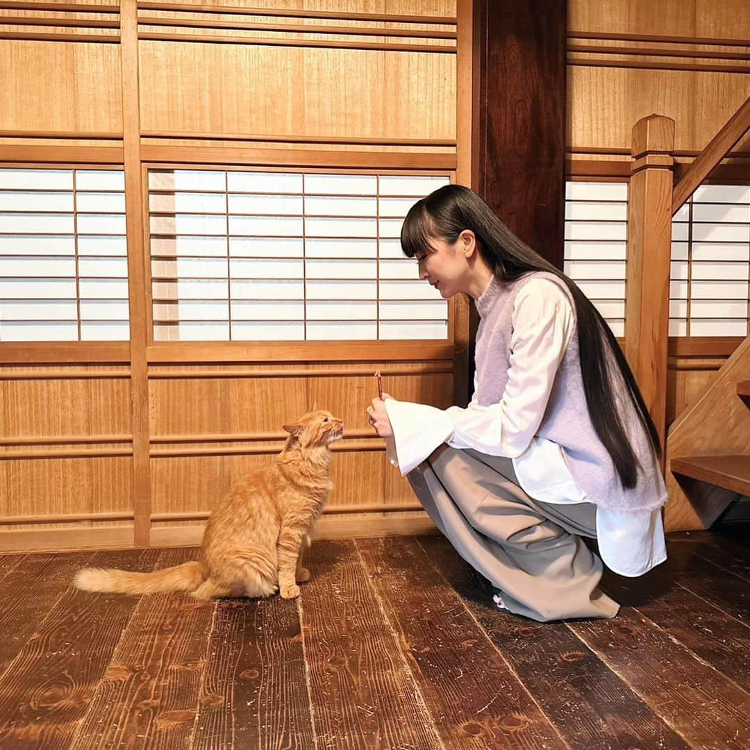 樫野有香さんのインスタグラム写真 - (樫野有香Instagram)「🐈🐈‍⬛🍲  Casa Brutus 11月号  伊賀焼　土鍋  @dorakugama  @casabrutus  @prfm_official  #土楽窯  #casabrutus  #prfm」11月9日 20時00分 - kashiyuka.prfm_p000003