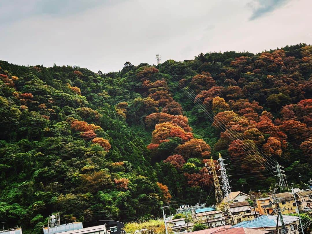 青空ひかりのインスタグラム：「☆ 徐々に葉も色づいて 紅葉の見頃も近いのかな🍁  ちょっと早めの秋を感じて 心身ともに癒されて 幸せな日でした！  自然と温泉の力ってすごい👏🏻 またパワーを貰いに行こうっ」