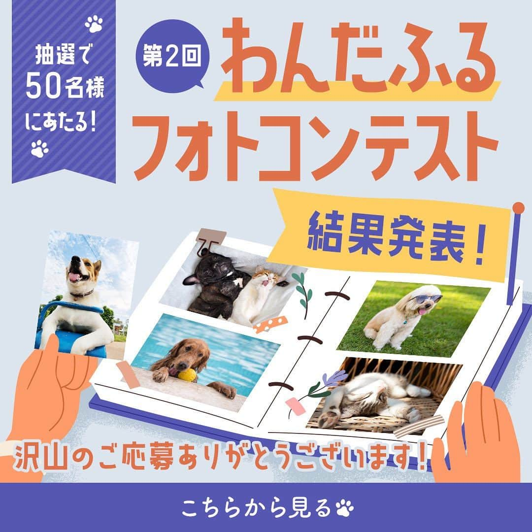 Caluluのインスタグラム：「第2回わんだふるフォトコンテスト結果発表🏆  皆さま沢山のご応募ありがとうございました🌷 今回50名様を抽選で選ばせていただきました👑  皆さまの素敵なお写真をぜひご覧ください🤍  ——————————  🎊結果発表ページは写真をクリックまたは、 プロフィール内litlinkのCaluluサイトよりアクセス♪ @calulu_dogwear  ——————————  #カルル #カルルドッグウェア #calulu #calulu_dogwear #カルルわんこの会 #カルルにゃんこの会 #犬のお洋服 #わんこふく #第2回わんだふるフォトコンテスト #フォトコンテスト #フォトコンテスト結果発表 #わんこ写真 #ねこ写真 #犬のいる暮らし #猫のいる暮らし #わんこのいる暮らし #にゃんこのいる暮らし #いぬすたぐらむ #わんこ部 #ねこ部 #フォトコンテスト入賞 #モデル犬 #プレゼント企画 #プレゼント #当選発表 #結果発表」