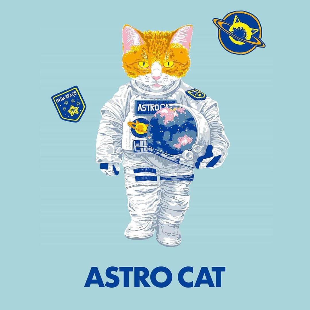 グラニフ graniphのインスタグラム：「NEW CHARACTER🐈🪐️  【アストロキャット】  地球の危機を救うミッションから無事帰還したアストロノーツ。 スペースシャトルから降り立ち、ヘルメットを脱いだ飛行士はりりしい顔立ちの子猫。 ヘルメットの中には宇宙にかける夢がいっぱいに広がっています。  気になる商品は画像をタップ✔️ ------------------------------- ▶︎ グラニフ [Graphic Life Store] @graniph_official  #グラニフ#graniph#アストロキャット」