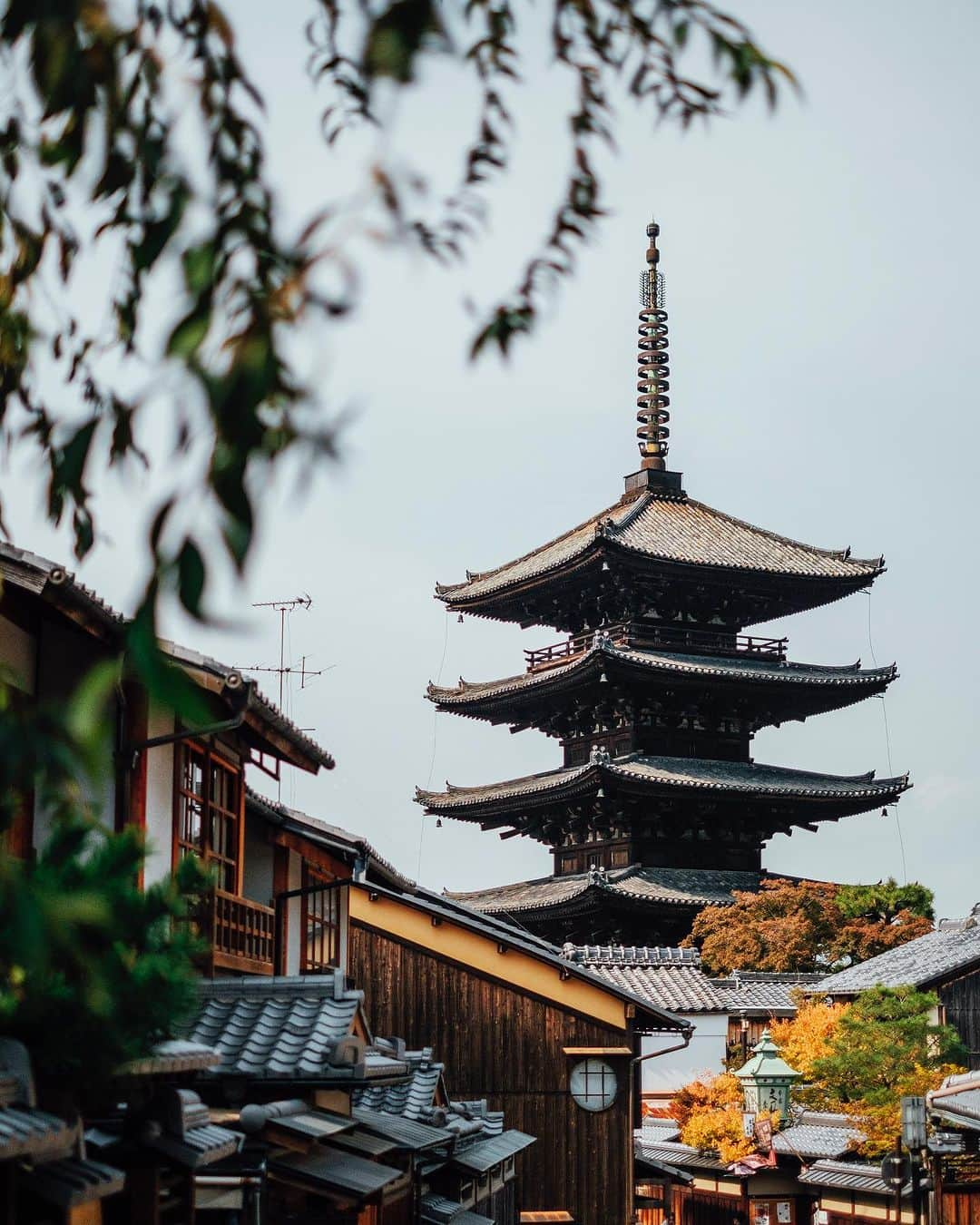 京都いいとこフォトさんのインスタグラム写真 - (京都いいとこフォトInstagram)「. 少しずつ色づく京都 . Kyoto is gradually changing color. . Date : 2023.10.27 Location : #八坂の塔 #yasakapagoda Photo : @kohei713 .」11月9日 12時14分 - kyoto_iitoko