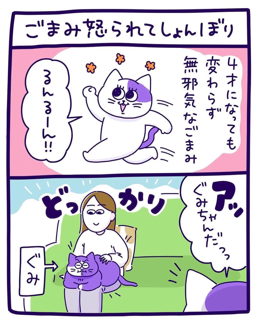 澤村 花菜のインスタグラム：「そしてこのあと一瞬で怒られたこと忘れちゃう🌠  #ぐみごまのまんが  #イラスト #絵日記 #猫のいる生活」
