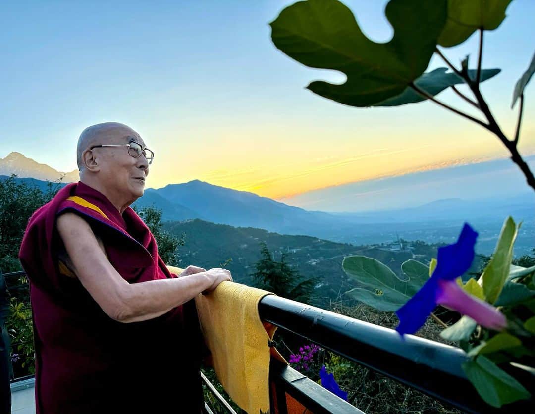 ダライ・ラマ14世のインスタグラム：「HHDL enticed by the dawn, takes joy in the simple beauty of flowers and the sunrise from his balcony. Photo by Ven. Tenzin Jamphel #dalailama #dharamshala」