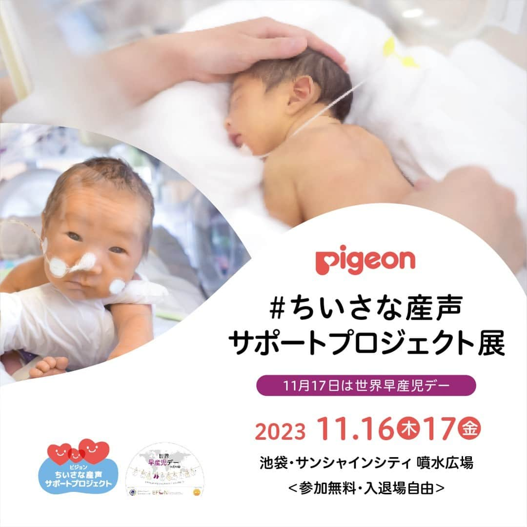 ピジョンのインスタグラム：「2023年11月16日(木)・17日(金)『ちいさな産声サポートプロジェクト展』を開催‼  その子に合ったペースで成長していく赤ちゃんたち👶を みんなで支えられる明日を目指し、 ピジョンはご家族やお子さま👪と一緒に、 小さく早く生まれた赤ちゃん👶を取り巻く環境について学び考えていただけるイベント 『ちいさな産声サポートプロジェクト展』を開催します✨  「知る」「体験する」「参加する」の３つをテーマに 小さなお子さまにもご参加いただけるコンテンツも👍 ぜひご来場ください♪  ＼たくさんのコンテンツをご用意！／ 💡赤ちゃんとご家族の写真展 💡小さな赤ちゃんのおむつ交換・お世話体験コーナー 💡ベビー用品の寄付コーナー 💡アイシングクッキーが当たる！巨大ガチャ など  開催日程：2023年11月16日（木）、17日（金） 開催時間：11:00～18:00 開催場所：池袋・サンシャインシティ　噴水広場  #ちいさな産声サポートプロジェクト展 #世界早産児デー #世界早産児デー2023 #リトルベビー #早産児 #赤ちゃんにやさしい世界 #ピジョン」