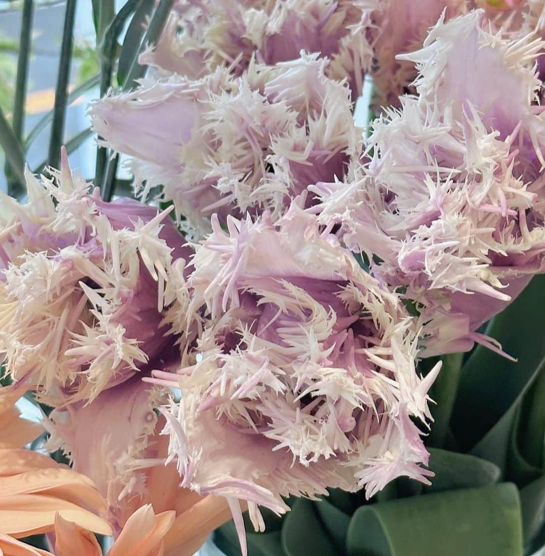 森山紗希のインスタグラム：「💐」