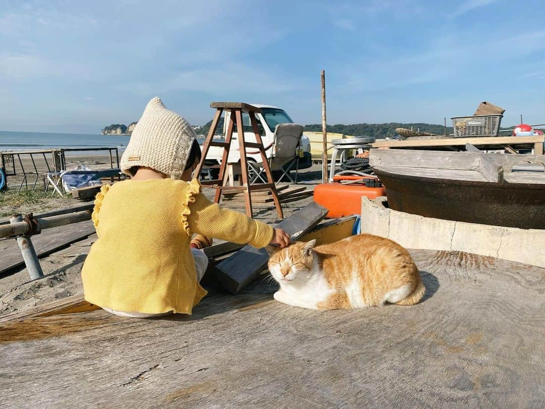 井村亜里香さんのインスタグラム写真 - (井村亜里香Instagram)「sui×kiiro♡ 鎌倉のアイドル猫キイロちゃんにメロメロな娘🐾 今日も朝から推し活🐈 なでなでしたい娘に仏のように接してくれてありがとう🧡  #kamakura#zaimokuza#zaimokuzabeach  #鎌倉#キイロ#キイロちゃん#猫#鎌倉散歩  #すいとキイロ」11月9日 15時23分 - arika_imura