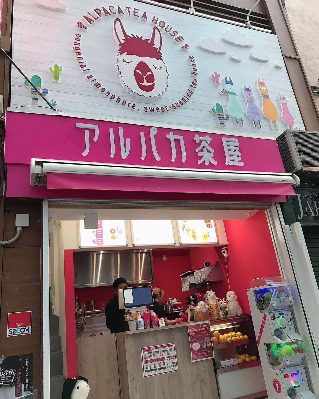 葵さんのインスタグラム写真 - (葵Instagram)「〜PR投稿〜 渋谷駅すぐ♡ 可愛いお店を発見❗️  アルパカ茶屋  @alpacachaya  1番人気の商品、アルパカタピオカミルクティーを飲んできたよ🎶 タピオカは大きくてもちもち♡ たっぷり入ってて美味しかったよ！  パッケージデザインが、アルパカとハチ公が描かれててかわいかった☺️  PR @alpacachaya #アルパカ茶屋 #渋谷スイーツ #渋谷タピオカ #渋谷カフェ #渋谷テイクアウト #タピオカドリンク#渋谷#渋谷カフェ#インスタ映えカフェ#ロイヤルミルクティー」11月9日 15時49分 - dolphin_coconut