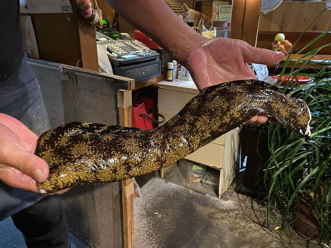 角田陽一郎さんのインスタグラム写真 - (角田陽一郎Instagram)「葉山町の文化遺産で『岸辺露伴は動かない』で有名な旧加地邸の管理人の松橋直人さんと会食。元スキー選手でスキースクール校長の松橋さんの人生と出会いの渦がことの方おもしろく、ご飯も美味しく、素晴らしい一夜になりました。 なんか文化プロジェクトを一緒にやりたい！  ウツボの刺身と唐揚げ、はじめて食べました。 カワハギのキモあえ、旨し！  #角田陽一郎 #松橋直人 #旧加地邸」11月9日 15時50分 - kakuichi44