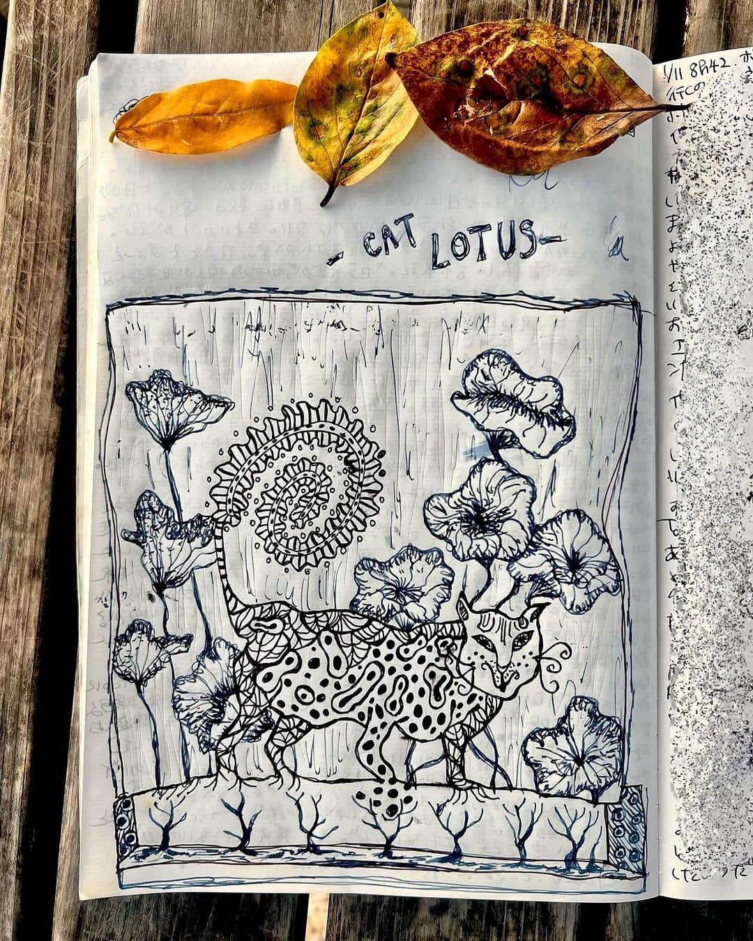 のインスタグラム：「CAT LOTUS 🐈‍⬛ miaou 🐾」