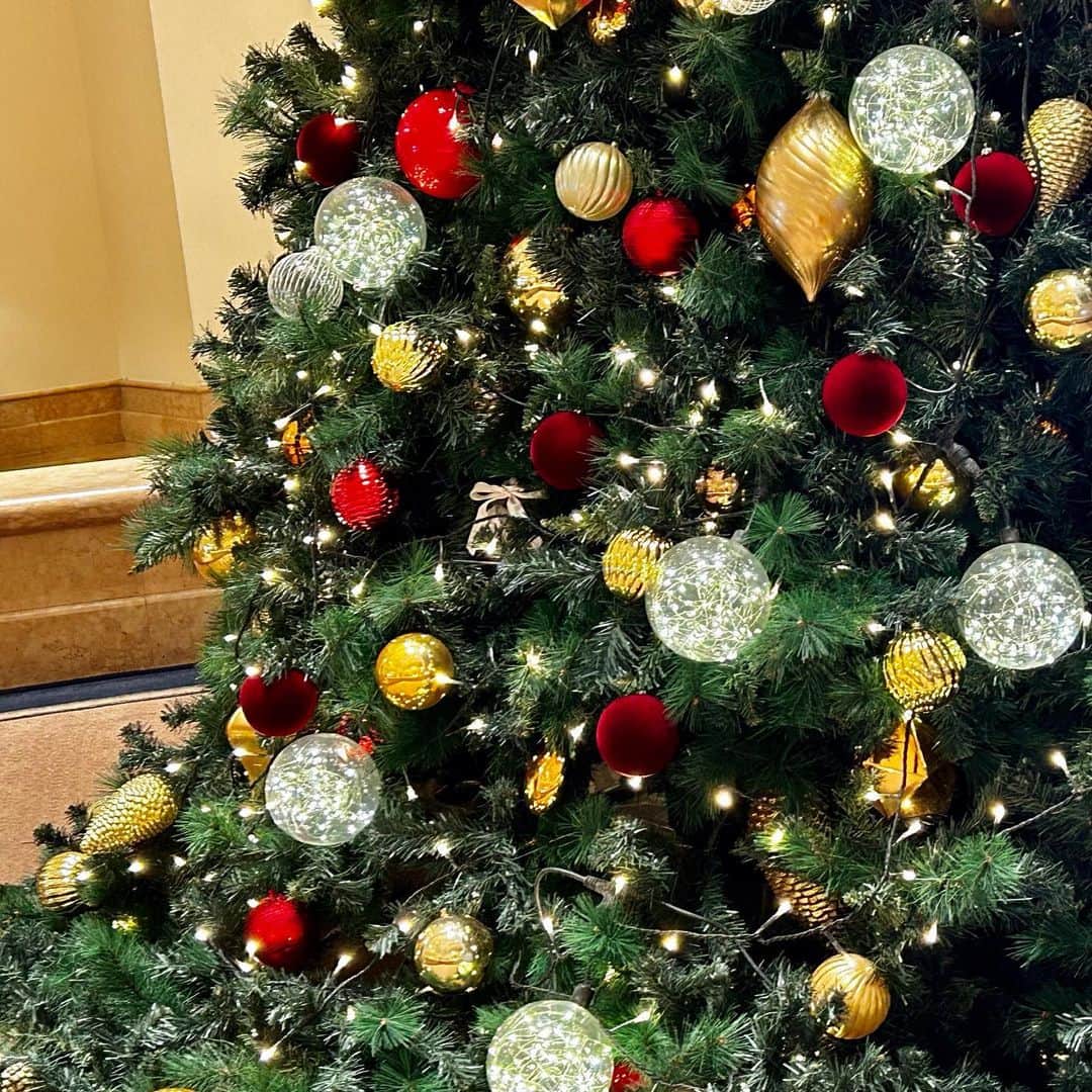 ヨコハマ グランド インターコンチネンタル ホテルさんのインスタグラム写真 - (ヨコハマ グランド インターコンチネンタル ホテルInstagram)「. 今年も一階吹き抜けのロビーに高さ6メートルのクリスマスツリーが飾られ、フェスティブシーズンが幕を開けました🎄 さぁ、心踊るクリスマスに向けて少しずつ準備を始めましょう💫  #ヨコハマグランドインターコンチネンタルホテル#インターコンチネンタル横浜#横浜グランドインターコンチネンタルホテル#みなとみらい#横浜ホテル#クリスマス#クリスマス2023#ロビー装飾#クリスマス飾り#クリスマスツリー#🎄#クリスマスイルミネーション #intercontinentalyokohamagrand#minatomirai#christmastree#christmas2023#xmas2023」11月9日 17時00分 - intercontinentalyokohamagrand