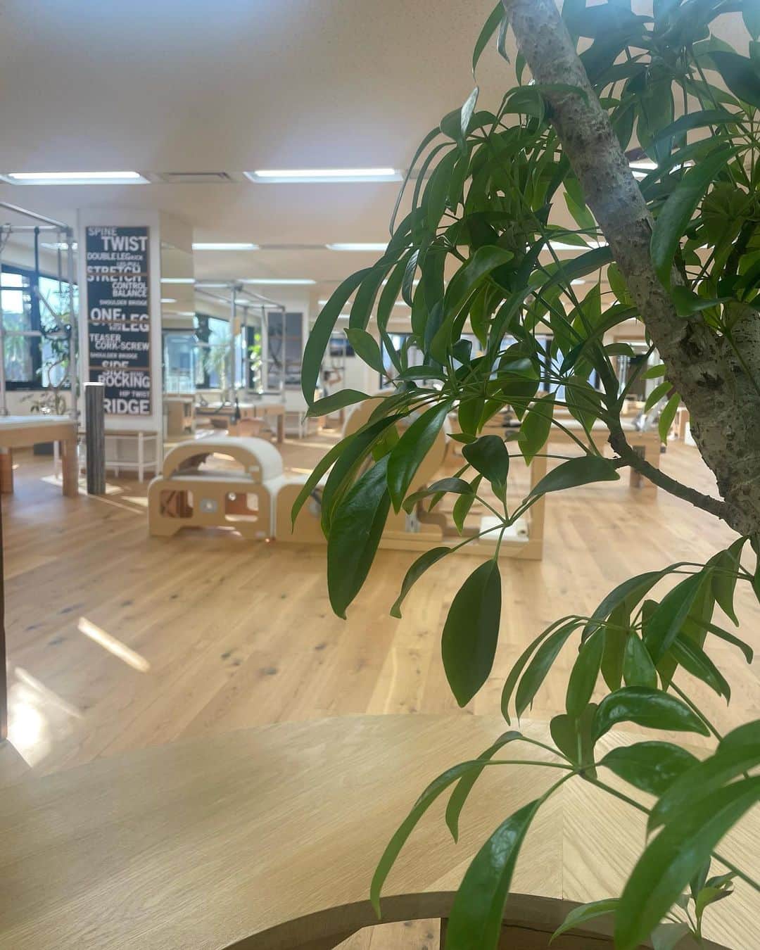 国井麻緒のインスタグラム：「🌿🫧  今日の @mohipilates さんの養成の話  ピラティスの動きでも、 仕事をする上でも、 何事にも意味を持たせる事がとても大事という事！ 意味を探すだけじゃなくて、 自分がこれ！と思った事に意味を持たせる！  そしてその物事に対して、 雑にならず、丁寧に行うことが大切だという事。  ピラティスは、短時間で全身運動ができて、 体だけではなくて、心も鍛えられると言われている、 とても高価で贅沢な運動だと言うことを 最近ひしひしと感じてる✨  そう言った運動を求めて、 来てくださるお客様が、 満足して、また来たいと！ 思ってもらえるようになる為には、  ピラティスを楽しんでもらう事はもちろんそうだけど、 不快な思いが全くなく、 非日常的な空間でセッションをする事で、 体や心をリセットして 日常に戻った時に少しでも過ごしやすい🌿🫧 と思ってもらえるようになる事！  その為には沢山の準備が必要だよね  だから今のうちに沢山学んで、 レパートリーを増やしておく🤭  ——————°*𓇼 𓇼°* ——————  @bloompilates_official  インストラクターになる為に  @mohipilates  にて養成中🐣  °*𓇼-———————————𓇼°*  #pilates #ピラティス #銀座ピラティス  #新体操 #mohipilates 養成中 #bloompilates #銀座」