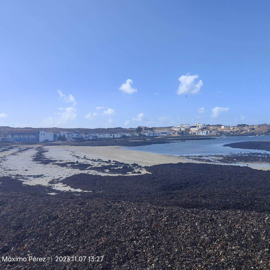 マキシム・ザボジンのインスタグラム：「Majanicho - La Oliva - Fuerteventura - Islas Canarias」