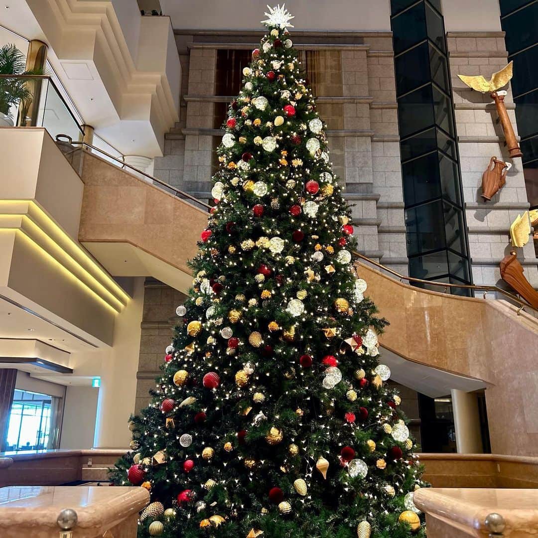 ヨコハマ グランド インターコンチネンタル ホテルのインスタグラム：「. 今年も一階吹き抜けのロビーに高さ6メートルのクリスマスツリーが飾られ、フェスティブシーズンが幕を開けました🎄 さぁ、心踊るクリスマスに向けて少しずつ準備を始めましょう💫  #ヨコハマグランドインターコンチネンタルホテル#インターコンチネンタル横浜#横浜グランドインターコンチネンタルホテル#みなとみらい#横浜ホテル#クリスマス#クリスマス2023#ロビー装飾#クリスマス飾り#クリスマスツリー#🎄#クリスマスイルミネーション #intercontinentalyokohamagrand#minatomirai#christmastree#christmas2023#xmas2023」