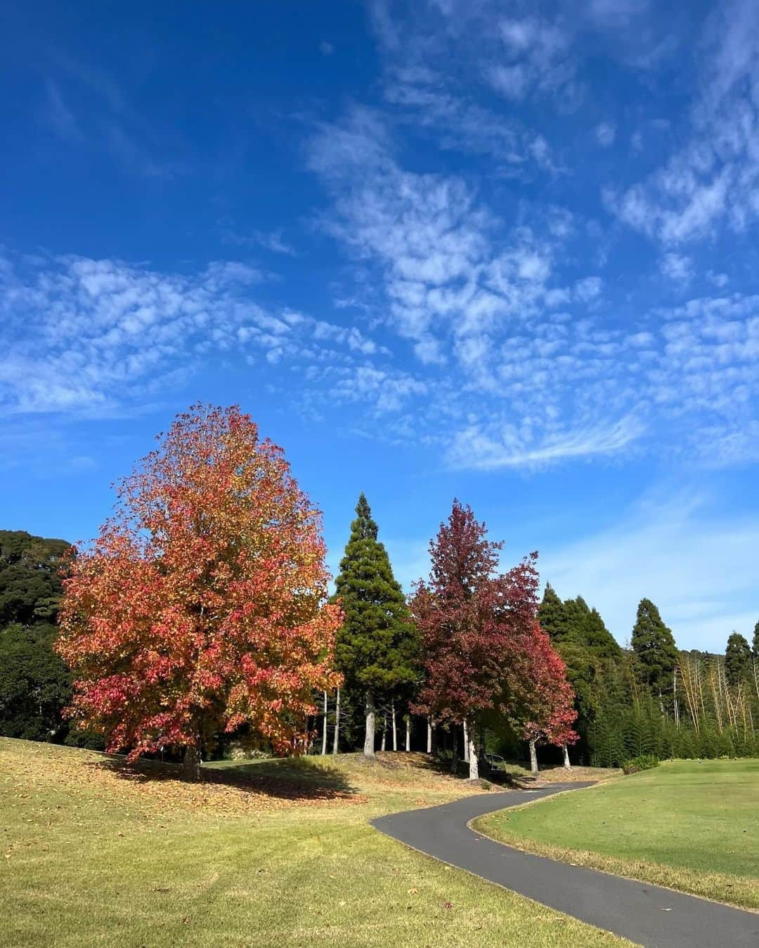 井上奈保さんのインスタグラム写真 - (井上奈保Instagram)「季節はずれの暑さが続いていて、11月にまだ半袖でゴルフするとは！ そして今更日焼け対策でフェイスカバーも登場させちゃった😂  #ゴルフ女子 #秋ゴルフ #giftedbyadidas」11月9日 17時10分 - inouenaho1207