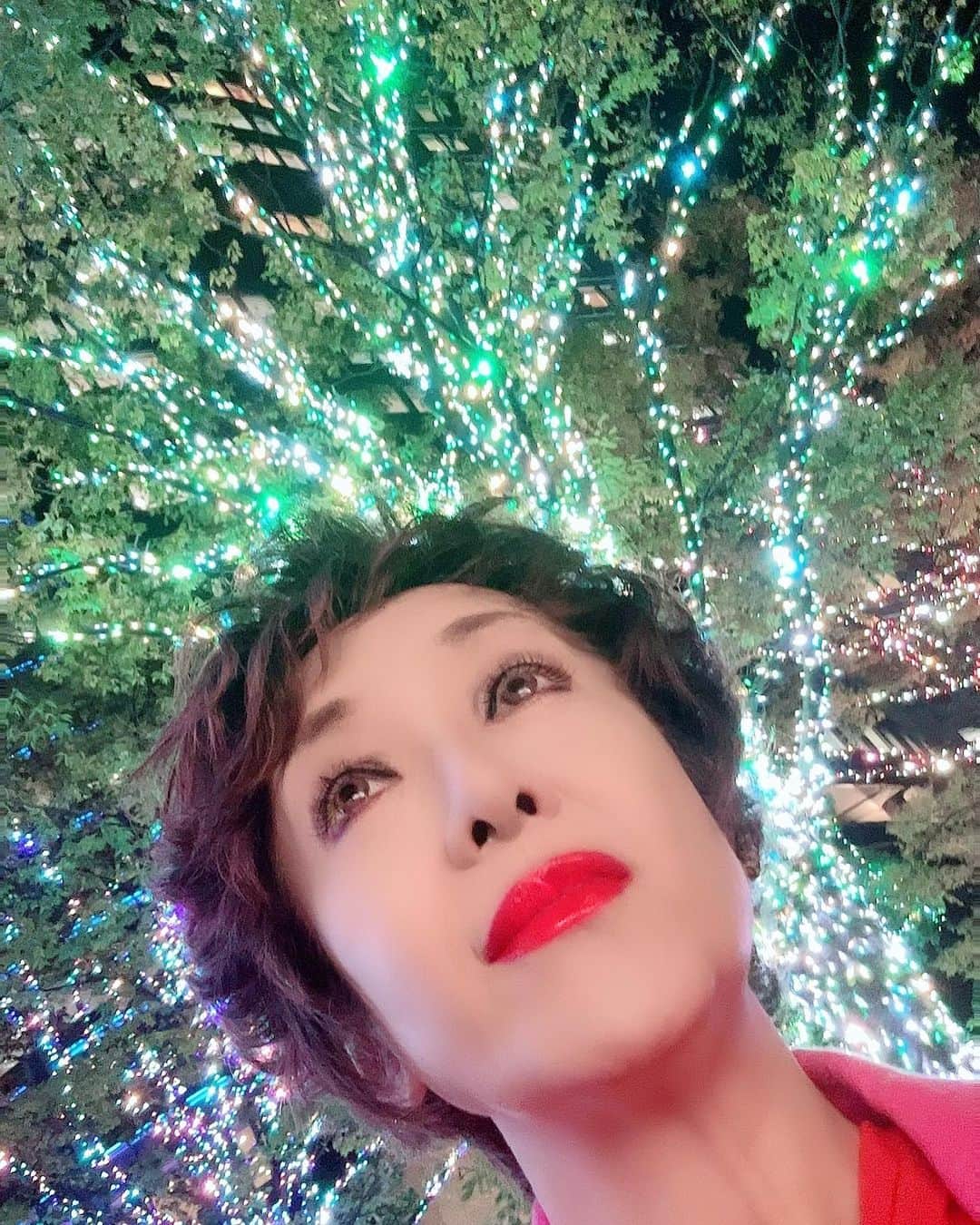 南美希子さんのインスタグラム写真 - (南美希子Instagram)「早くも樹々はイルミネーションを纏っています。 #六本木ヒルズ」11月9日 17時33分 - mikiko_minami