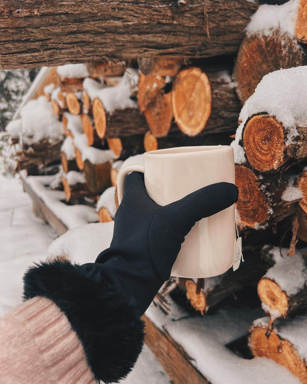 Kalyn Nicholsonのインスタグラム：「If the earth laughs in flowers (the quote on my tea), then it sings in snowflakes.   I swear there’s an extra dose of magic in the air anytime trees are covered in snow.」