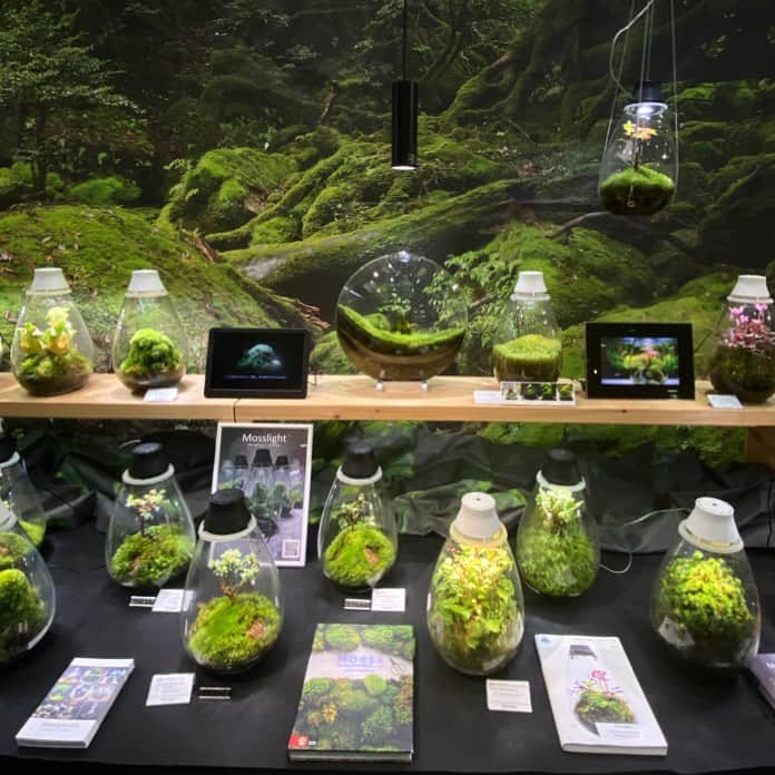 Mosslight-LEDのインスタグラム：「苔･こけ･コケ展 11/10〜11/12 京都府立植物園  #mosslight#モスライト #コケ展#京都府立植物園」