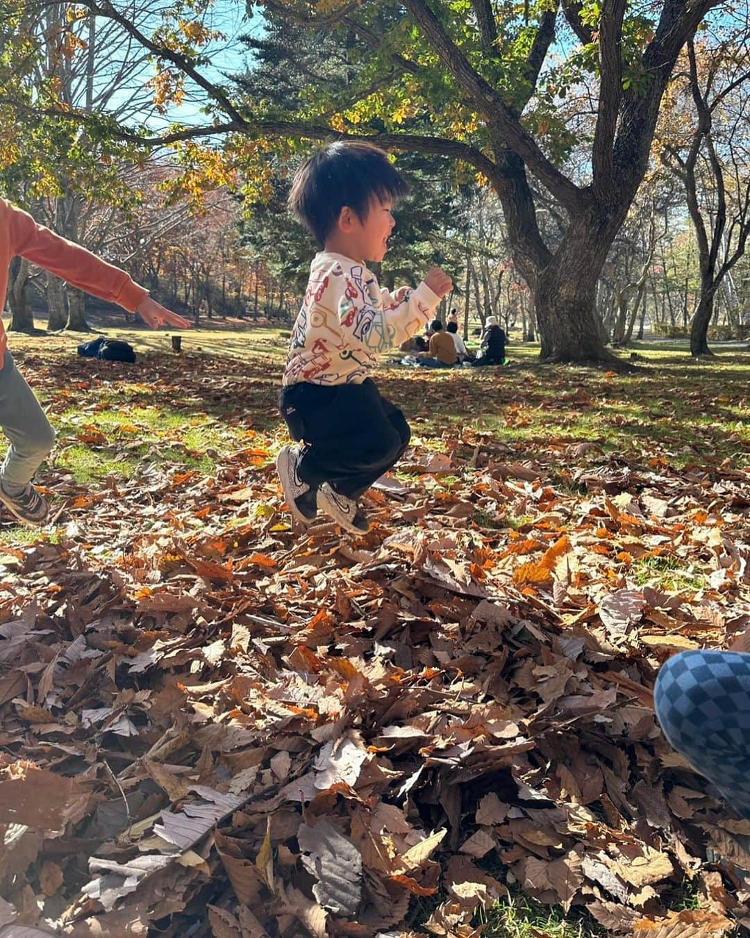 松尾由美子のインスタグラム：「先日、山の方に行ってきました。 ひろーい野山を駆け回れて楽しそうでした。 都心にも遅れて秋がやってくるかな？」