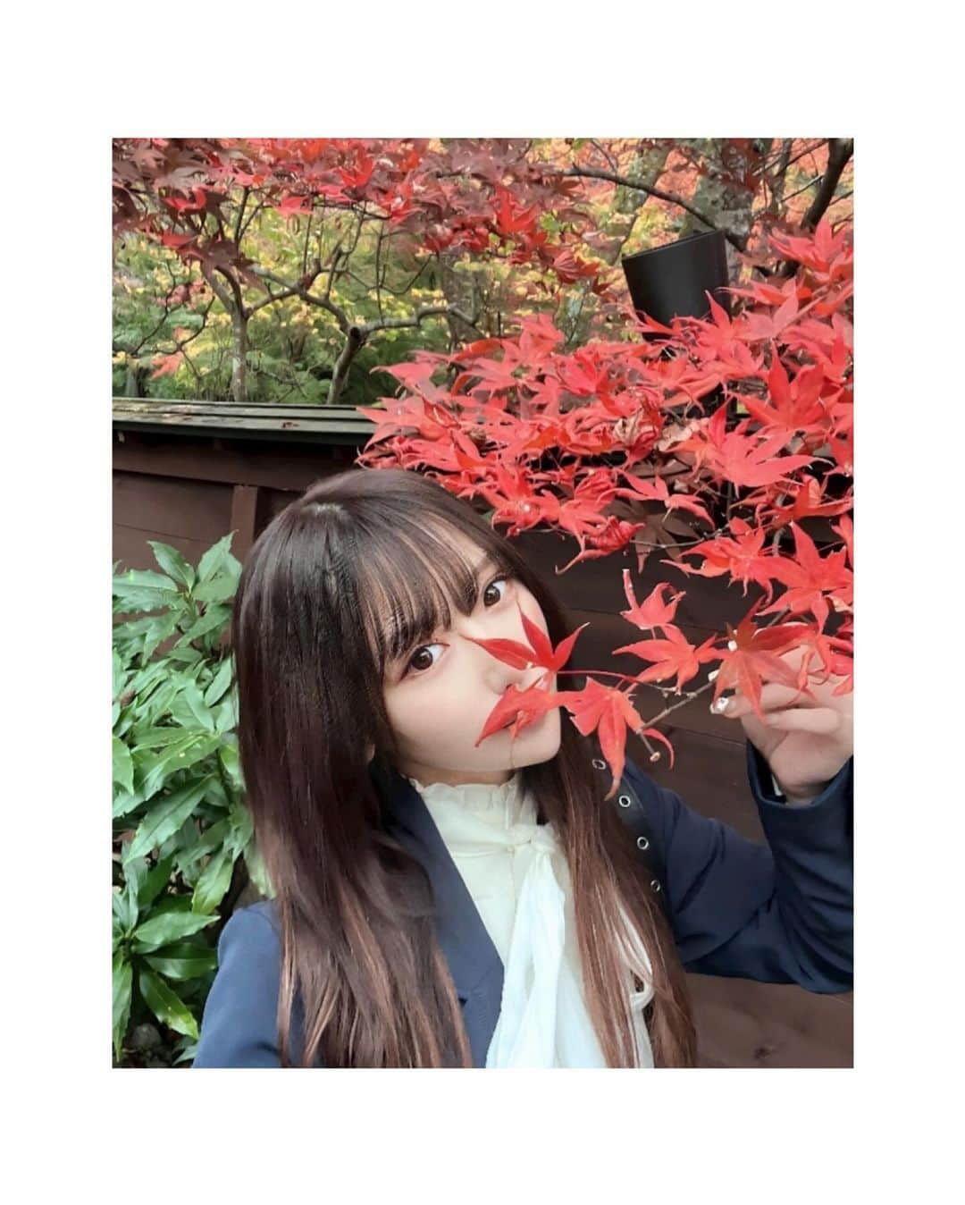 川崎ガーデンさんのインスタグラム写真 - (川崎ガーデンInstagram)「@kawasaki.garden   garden's投稿 「りな」さんです❗️ @__rina.gram   川崎で個室があるキャバクラ！ 川崎エリア最大級のフロア✨  他のキャバクラとは違った高級感を楽しめる川崎では初の日本庭園をイメージした和の空間となっております🎍  キャストの容姿&内装も川崎エリアトップクラス😳  定休日は毎週日曜になっております。 お間違えないように😔 　 ご来店された際にInstagramを見たでご新規様もリピーターのお客様も選べる割引特典有りますので是非ご利用下さい🎉🎉  ↓↓↓↓↓↓↓↓↓↓↓↓↓↓↓↓↓↓  🉐ご新規のお客様限定🉐  1️⃣最初の1set(60分) 21:59迄のご来店→¥4,500(税サ込) 22:00以降→¥6,500(税サ込) (1名様につき1人までとさせて頂きます)  2️⃣21:59までの入店で 指名料無料・場内指名料無料 (1名様につき1人までとさせて頂きます)  〜ご利用条件〜 ・初回ご来店時のみ有効です ・他の割引サービスとの併用はできません ・週末などの混雑時には本チケットのご利用をご遠慮いただく場合がございます ・入店時に提示されなかった場合は適用外となりますので入店時にスタッフの方に提示して下さい  🉐リピーターのお客様🉐  1️⃣21:59までの入店で 90分¥8,500(税サ込) (1組につき3名様までとさせて頂きます)  2️⃣21:59までの入店で 指名料無料・場内指名料無料 (1名様につき1人までとさせて頂きます)  〜ご利用条件〜 ・他の割引サービスとの併用はできません ・週末などの混雑時には本チケットのご利用をご遠慮いただく場合がございます ・入店時に提示されなかった場合は適用外となりますので入店時にスタッフの方に提示して下さい  川崎ガーデンでは感染対策を徹底し、顧客満足度を追求し、安心安全をスタッフ一同心がけ営業させて頂いております🎍  本日も皆様のご来店を心よりお待ちしております🙇‍♂️  #川崎ガーデン #キャバ嬢 #キャバクラ #ニュークラブ #オシャ嬢 #美人図鑑 #キャバ図鑑 #ガールズバー #ラウンジ #横浜キャバクラ #横浜キャバ嬢 #関内キャバクラ #関内キャバ嬢 #川崎キャバクラ #川崎キャバ嬢 #蒲田キャバクラ #蒲田キャバ嬢 #川崎キャバクラ #川崎キャバ嬢 #溝の口キャバクラ #溝の口キャバ嬢 #高収入 #ダブルワーク #キャバクラ求人 #高収入求人 #キャスト募集中 #新横浜求人 #川崎 #insou #ポケパラ」11月9日 19時31分 - kawasaki.garden