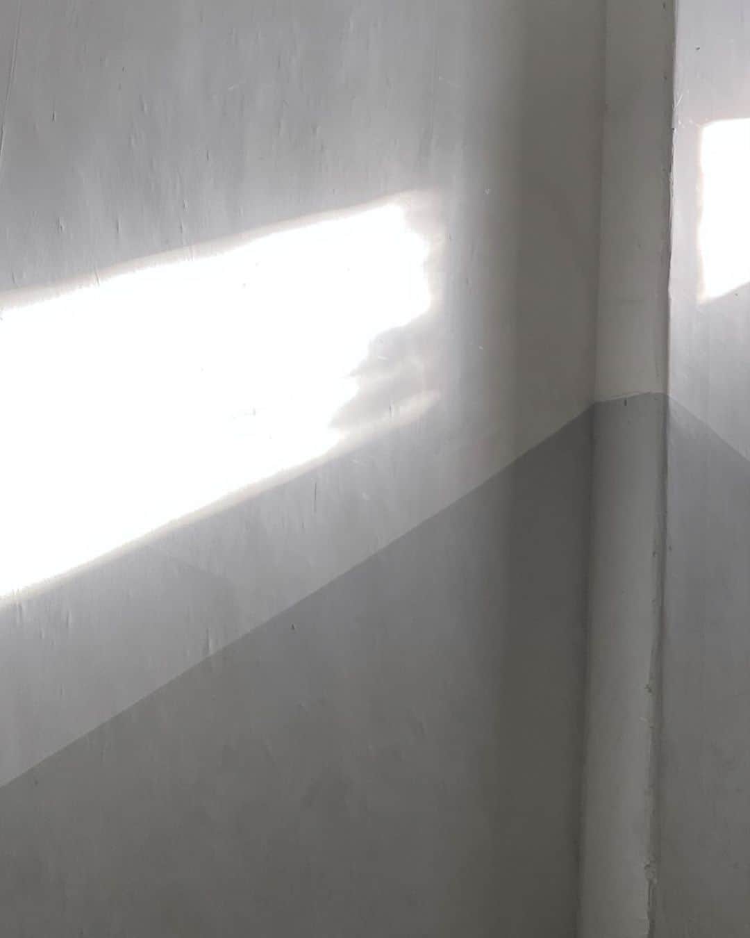 渡辺真起子さんのインスタグラム写真 - (渡辺真起子Instagram)「ひかり。  太陽はただ光を放つのみ。」11月9日 19時41分 - watanabe_makiko