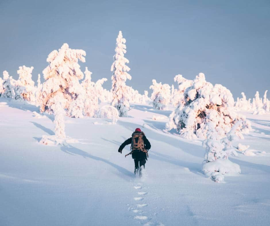 フィンランド政府観光局さんのインスタグラム写真 - (フィンランド政府観光局Instagram)「🌲 フィンランドの国立公園シリーズ - 1 🌲 リーシトゥントゥリ（Riisitunturi）国立公園は、何と言っても樹氷で有名です。１年中いつ行っても素晴らしい大自然が楽しめますが、冬の風景は格別です。❄️ ハイキングのベテランでも、ちょっと歩いみたいだけでも、誰もが楽しめる場所です。おすすめのアクティビティは？ 🥾 ハイキングトレイル: ハイキングシューズを履いて、自分のレベルに合ったトレイルを歩いてみましょう。 ❄️ ウィンタースポーツ: 雪のパラダイスは、スキーやスノーボードに最高です。 🤩 オーロラ: 樹氷の森で見るオーロラ、想像しただけでも素敵ですよね。 🦉 バードウォッチング: 双眼鏡を持って出かけましょう。 🏕️ レジャー: お弁当を持って、国立公園のシェルターや小屋でのんびり楽しみましょう。 それだけではありません。素敵な風景を写真に収めるのもお忘れなく！📸 🚗 行き方: リーシトゥントゥリ国立公園は、ラップランド南部、ポシオ（Posio）の町の近くにあります。一番近い空港クーサモ空港 やロヴァニエミ空港から、レンタカーやタクシー、あるいは、このエリアのツアーをご利用ください。 📸: Daniel Ernst, Eeva Mäkinen; Hannes Becker, Tiina Törmänen #Riisitunturi #FinlandNationalParks #VisitFinland #NatureLovers #Travel  #visitfinlandjp #finland #北欧旅行 #travelgram #フィンランド #フィンランド政府観光局 #北欧 #travel #instatravel #travel #travelgram #travelling #traveler #旅したくなるフォト #旅行 #旅 #海外旅行 #travelphotography #旅行大好き #旅行好き #旅スタグラム #旅好き #ヨーロッパ旅行 #旅に出たい #トラベル #国立公園 #樹氷」11月9日 20時00分 - visitfinlandjapan