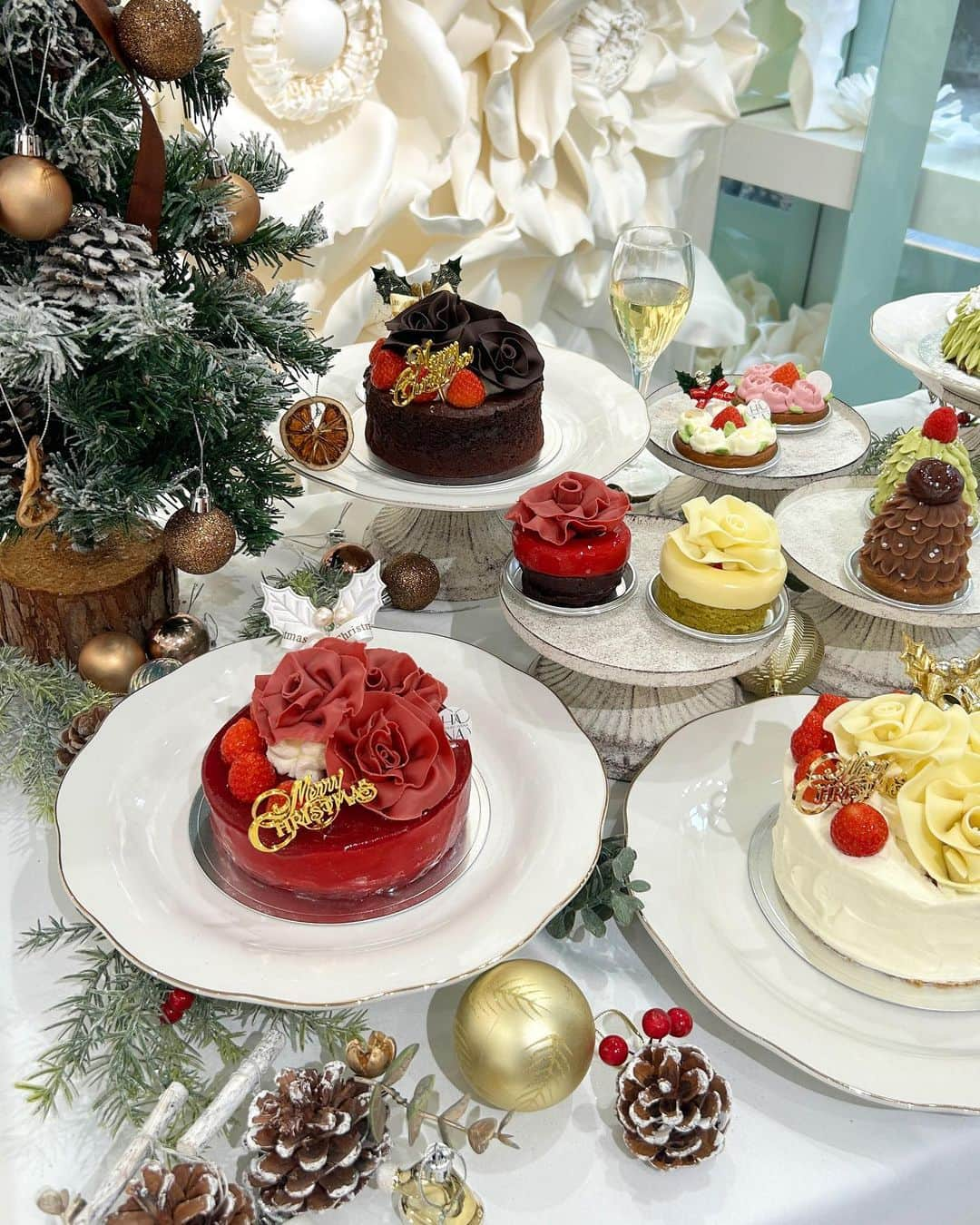 あかねぴさんのインスタグラム写真 - (あかねぴInstagram)「. ⁡ 📍銀座 PATISSERIEHANAさんの Christmas Collectionを見に行ってきたよ🎄♥️ ⁡ 今年の9/25にオープンしたばかりの お花をモチーフにした繊細で華やかなスイーツを取り扱っているパティスリー🍰💐 @patisserie_hana2023  ⁡ 通常のお花モチーフのケーキももちろん可愛いけど、 クリスマスケーキもめちゃめちゃ可愛かった💞 ⁡ ホールケーキはもちろん、 1人用サイズのピースケーキもあるので カップルやお友達同士のクリパにも 自分用にもオススメです🫶🏻✨ ⁡ ピースケーキは12/1から発売で ホールケーキは事前予約が必要みたいだよ〜🎂♡ ⁡ 通常は販売のみで店内で飲食はできないので注意です⚠️ ⁡ ⁡  ------------------------------ PATISSERIEHANA 銀座店 📍東京都中央区銀座7-3-13ニューギンザビル 1号館 ------------------------------  . #PATISSERIEHANA #パティスリーハナ #銀座グルメ #銀座スイーツ #東京スイーツ #クリスマスケーキ #Christmascake #Xmascake #クリスマス #Christmas #PR」11月9日 20時01分 - akanepi0426