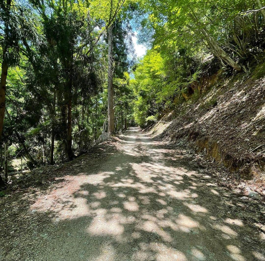 武田玲奈さんのインスタグラム写真 - (武田玲奈Instagram)「唄う六人の女🌳🍃🌿  @utau.onna6」11月9日 20時01分 - rena_takeda