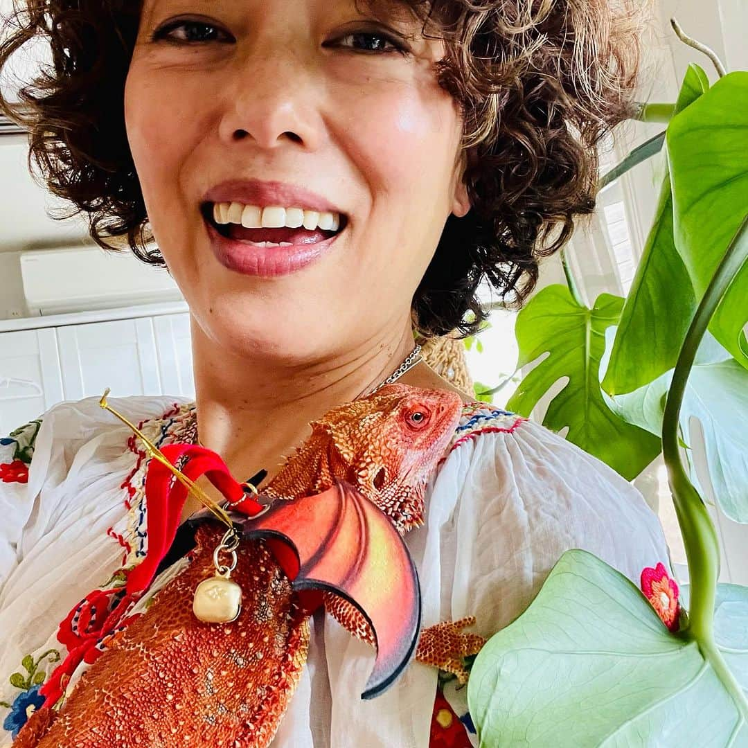 池田有希子のインスタグラム：「菅谷真理恵のラー油🦎と織田佳奈子のマジェンタ🐶が可愛すぎます🔥ラー油、案外ソフト！私のファッションにも無理なく溶け込む。さてはイエベだな！マジェンタとはおしゃべりボタンで会話ができます。玄関から私の靴咥えてきて「Walk」、私を見ながら「Friend」「Treat」を連打。人類より賢い！」