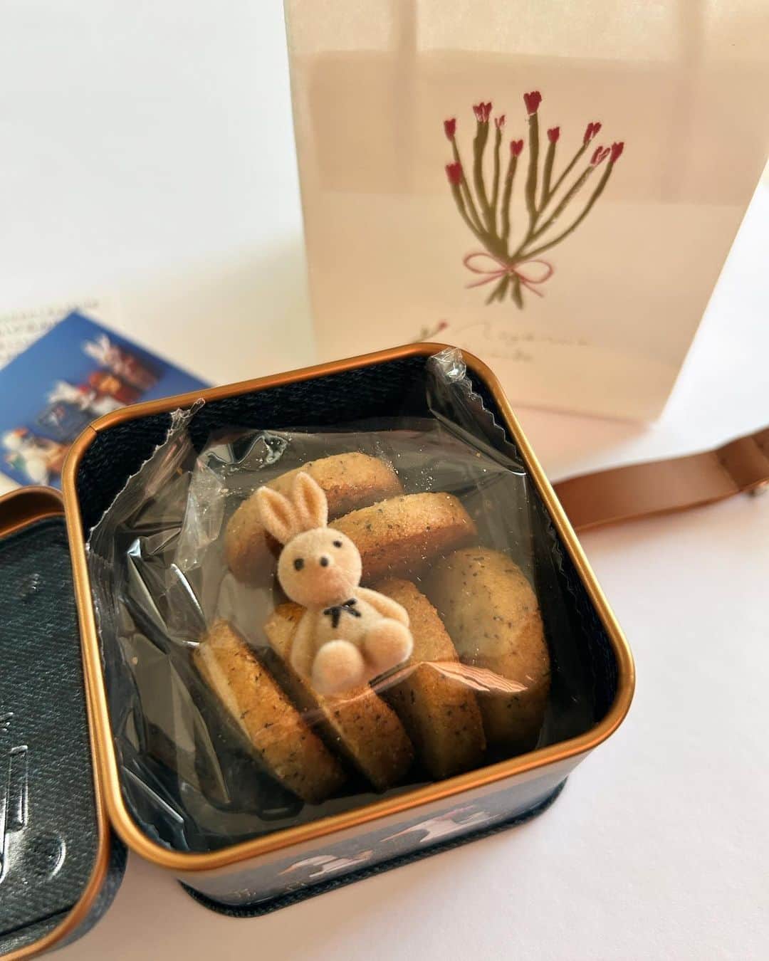 花清まゆこさんのインスタグラム写真 - (花清まゆこInstagram)「母からもらったクッキー缶🍪  クマかウサギのミニミニサイズのお人形が入ってるらしく、、、  ウサギが入ってました😍  可愛すぎるー❤️  グルテンフリーのクッキーも食べるの楽しみ✨  @aoyama_decarbo  #青山デカーボ #クッキー缶 #お菓子缶 #グルテンフリー #米粉クッキー #ぬいぐるみ缶 #低糖質 #可愛い #プレゼント #伊勢丹新宿　に #あるらしい #クマも欲しい」11月9日 20時24分 - mayuusa610