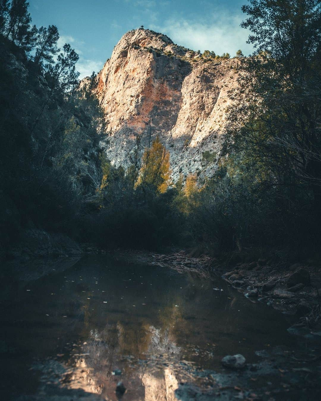 アダム・オンドラさんのインスタグラム写真 - (アダム・オンドラInstagram)「El Gran Bellanco 8c+/ 9a onsight (Montanejos, Spain) 🇪🇸  Very happy to onsight this route that I have had in my mind for quite some time 👌 The execution was perfect, and haven't made any mistakes 👊  And clipping the chain was great, as well as seeing the local climbers from Montanejos being super stoked about that 🤜🤛 Stay tuned about the upcoming video on my YouTube channel 💪  Pics by @pet.phot and @pan_verner   #adamondra #AO #rockclimbing #rockclimber #climbing #climb #climbers #onsight #onsightclimbing #climbinginspiration #climbing_lovers #montanejos #spain   @mammut_swiss1862 @lasportivagram @euroholds @rohlik.cz @mix.it @sensfoods @hudysport @211_zpmvcr @horosvaz.cz @mercedesbenz_autojihlava @sport_invest @olympcsmv Cardion」11月9日 20時49分 - adam.ondra