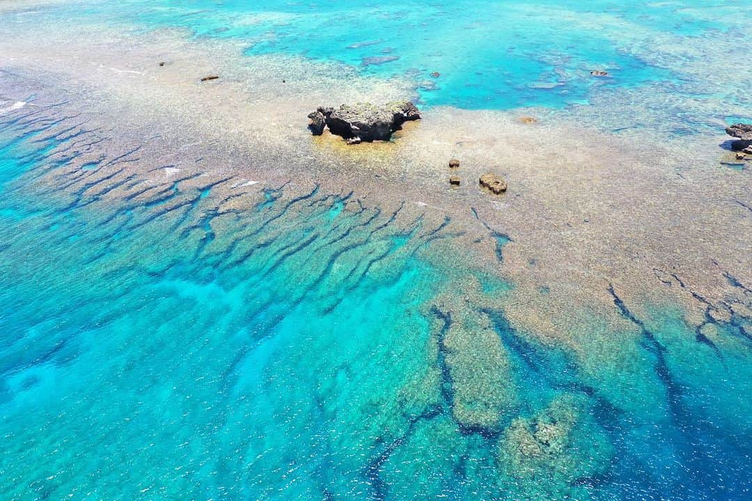 ANA.IC.MANZA.BEACH.RESORTさんのインスタグラム写真 - (ANA.IC.MANZA.BEACH.RESORTInstagram)「⁡ 〜サンゴ礁保全活動「GREEN FINS」正式認定１周年🪸〜 本日11⽉9日、日本のリゾートホテルで初の「GREEN FINS（グリーン・フィンズ）」正式認定の取得からちょうど一年が経ちました。GREEN FINS（グリーン・フィンズ）は、2004年に国連環境計画（UNEP）とイギリスのリーフワールド財団によりスタートしたサンゴ礁保全を目的とした取り組み。もしサンゴ礁が減少すると、海の生態系が崩れ、魚の減少や絶滅、地球温暖化が加速し私たちの食生活にも影響します。 20年以上、サンゴ保全の取り組みを行ってきた私たちと一緒に、沖縄の美しい海を未来に残すために今できることから始めませんか。 ⁡ 詳細はプロフィールのリンクから。 ⁡ ⁡ ~ GREEN FINS Coral Reef Conservation Initiative 1st Anniversary 🪸 ~ ⁡ Today, November 9th, marks one whole year since receiving our official "GREEN FINS" certification, the first of any Japanese resort hotel. GREEN FINS was launched back in 2004 by the United Nations Environment Programme (UNEP) and the UK's Reef-World Foundation with the aim of conserving coral reefs and marine ecosystems, the disruption and deteriation of which adding to the acceleration of global warming. ⁡ For over 20 years, we at ANA InterContinental Manza Beach Resort have been dedicated to coral conservation, so come join us in taking further steps to preserve the beautiful seas of Okinawa. ⁡ To learn more, visit the link in our profile. ⁡ ⁡ Share your own images with us by tagging @ana.ic.manza.beach.resort ————————————————————— #ANAインターコンチネンタル万座ビーチリゾート#万座ビーチ#恩納村ホテル#サステナブル#環境保全#サンゴ礁 #ANAInterContinentalManzaBeachResort#InterContinentalANAManzaBeachResort#ManzaBeach#okinawatrip#okinawabeach#SDGs#Greenfins」11月9日 20時54分 - ana.ic.manza.beach.resort