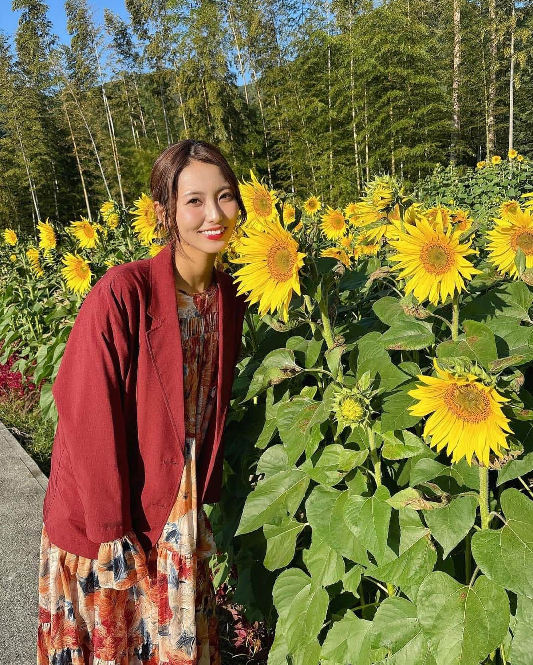 山下七子のインスタグラム：「こんばんは🌙 今日も一日お疲れ様でした！  先週金曜日のお天気中継は佐賀県みやき町にある 山田ひわまり園からお伝えしました🌻 秋に咲く珍しいおよそ10万本のひまわりたちは今週満開を迎えました🌻今月末まで期間限定でオープンしているので是非遊びに行かれてみて下さい！  町の方達が夏に種を植え付けてあえて秋に咲くように 大切に大切に育てられたひまわりたち☺️ 今の時期はコスモス🌼 もう少し秋が深まると紅葉と一緒に楽しめるようですよ🍁  岡町長が持ってきて下さった山田の棚田米ヒノヒカリも甘くて艶があって美味しかったです！ 中継終わりに2杯もいただいてしまいました😊  町の皆様もオープンより早く来て中継を盛り上げて下さり中継班にご飯を炊いてお茶やお漬物までに振る舞って下さりありがとうございました🥳  #アサデス#アサデスKBC#KBC#ふるさとwish#佐賀県#みやき町#お天気中継#お天気お姉さん#秋コーデ#向日葵#コスモス#お出掛けスポット#佐賀県お出掛けスポット」