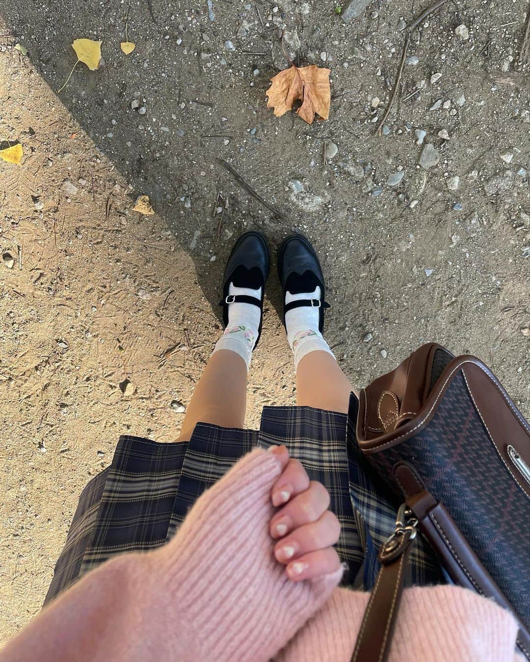 のインスタグラム：「秋の足元🐕🍁🍊」