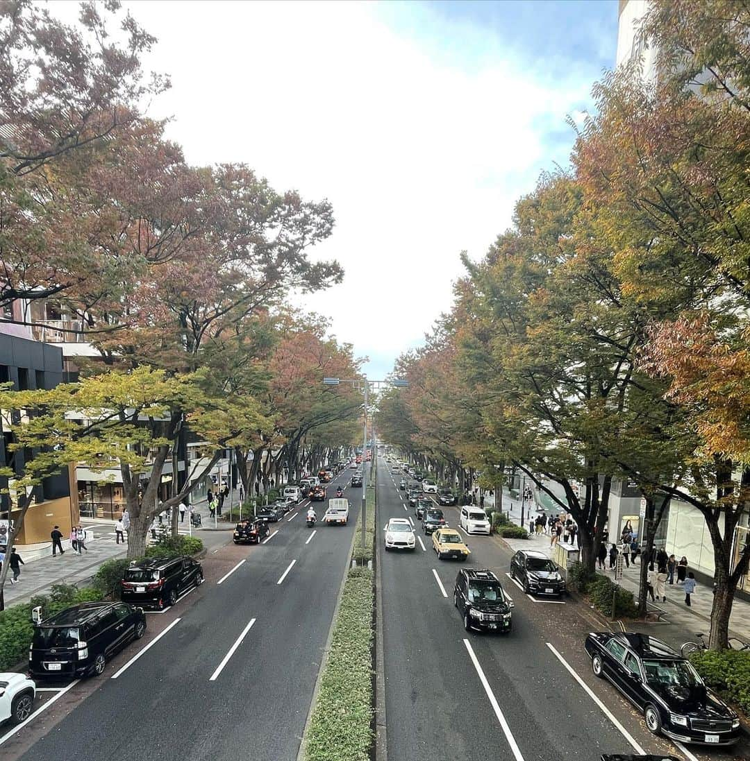 小林万希子さんのインスタグラム写真 - (小林万希子Instagram)「・  今回の東京は時間がとってもタイトだったので  着いたその日1番初めに表参道に深呼吸をしにいって✨ 行きたいお店を回って ゆっくりとお茶タイム☕️❤️  もうかれこれ10年近く前 骨格診断を勉強しに長く通った表参道✨  その頃は楽しむより、学びの時間でいっぱいいっぱい  でも、 表参道は今でも東京で1番行きたくなる場所なんです✨  散策してたら 以前パーティーをした教会で結婚式をされてました💕  ウエディングドレス姿の新婦さんが素敵で✨ なんだかラッキーー😍  フライングタイガーのお店は クリスマスグッズ一色でしたー🎄🎅❤️  いろんな場所の奥の方まで歩き回るんです〜笑  最初の写真は バッタリ会ったまどかちゃんが お茶してる時に撮ってくれたもの✨  何だか いつもドタバタしてる悲壮感いっぱいの私と違って… ゆっくりゆったり時間を楽しんでて💕 幸せそ〜〜😆🎵  また、東京へ行った時は 澄んだ空気を味わいに伺います〜✨✨  #東京  #表参道  #表参道カフェ  #明治神宮  #明治神宮でお参り  #参道  #空気感が好き  #気の流れがいい場所  #東京ではここが一番好き  #神戸ではここ #大阪ではここ  #各地域にある✨😊 #ストレス発散  #リラクゼーション空間  #深呼吸できる場所」11月9日 21時17分 - macky1218