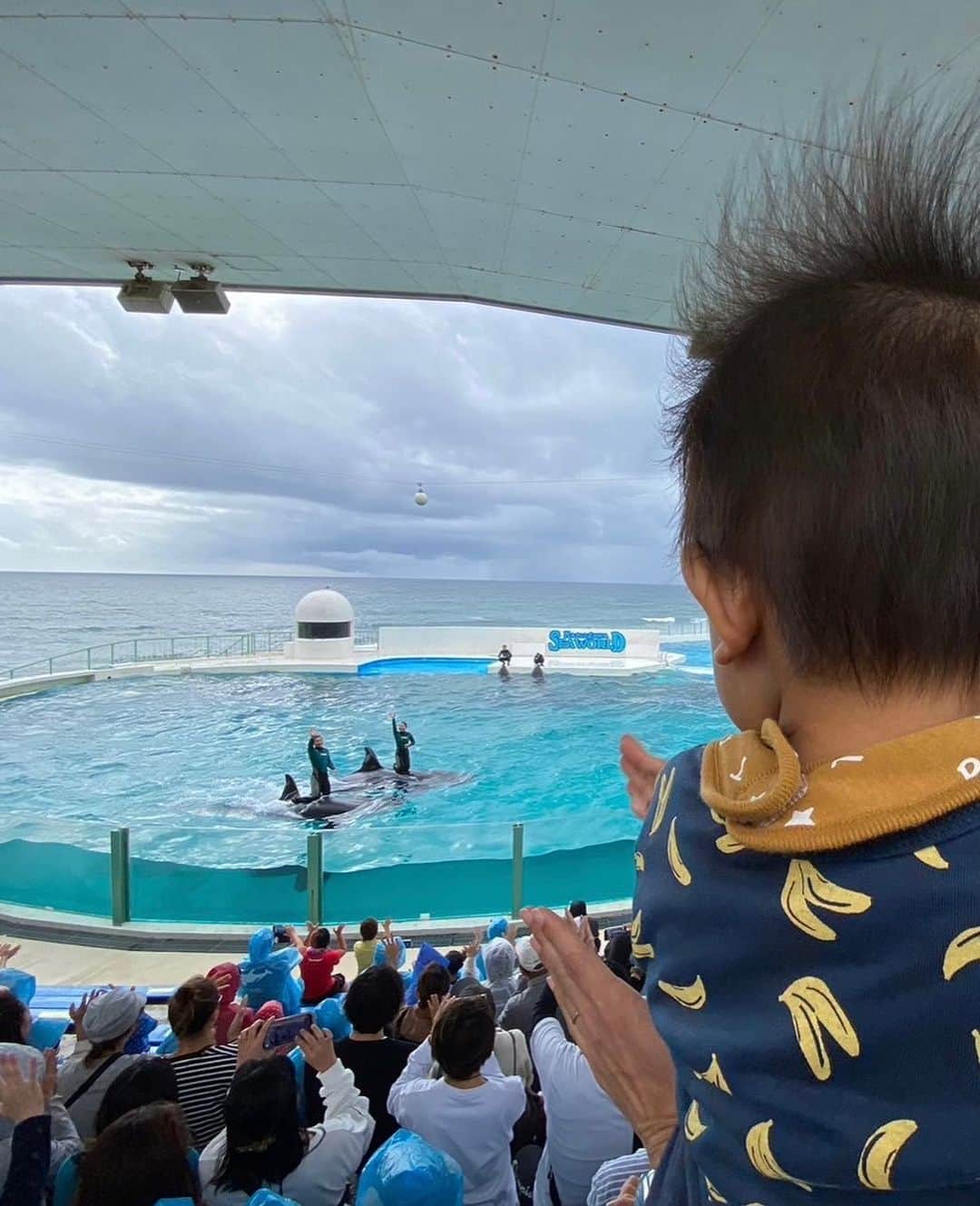 徳永千奈美さんのインスタグラム写真 - (徳永千奈美Instagram)「先日鴨川へ1泊2日の旅行に行ってきました♪ そして息子初の水族館、鴨川シーワールドへ🐠  初めて観る大きな水槽に最初はビックリしていた息子。 慣れてきたら楽しそうに水槽を観ていたし、私もすごく楽しみにしていたシャチのショーも拍手しながら楽しんでいました🫶  #鴨川 #鴨川シーワールド #息子 #水族館デビュー #赤ちゃんのいる生活」11月9日 21時24分 - chinami.tokunaga