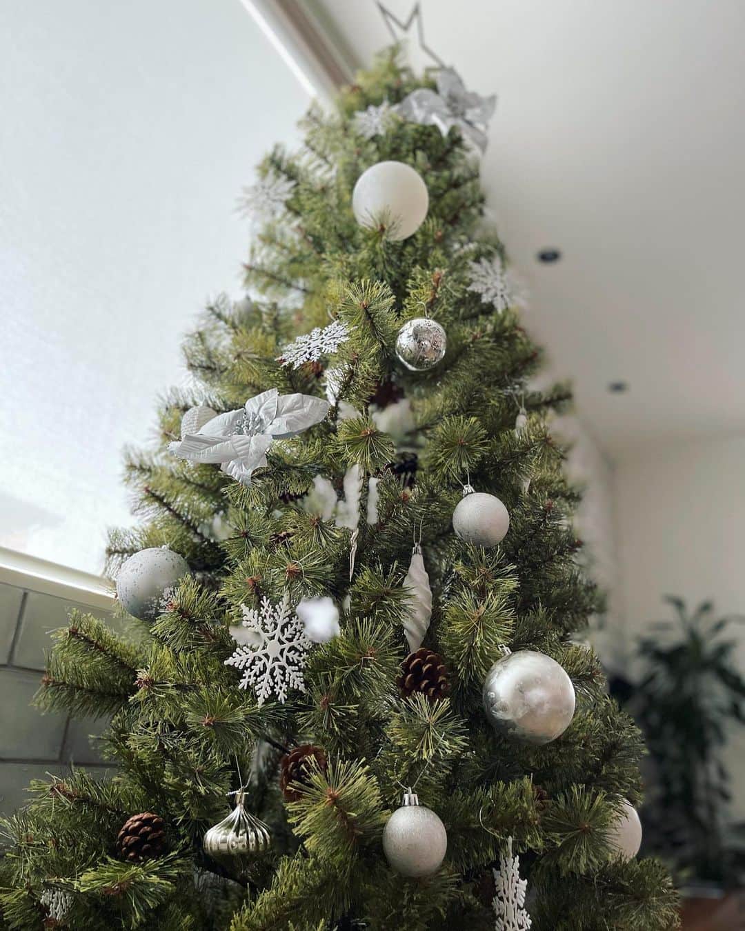 本田朋子のインスタグラム：「クリスマスツリーを飾りました。 私にしては例年よりもかなり早い時期に飾れて、自分で自分を褒めました。笑 これで長くクリスマスシーズンを愉しめます。 今年はツリーを新調。 どのサイズにしようか迷ったけど、210cmにして丁度良かった！ オーナメントもとっても可愛くて♡ あとはLEDを付けるか迷い中…。  #クリスマス #クリスマスツリー  #christmas  #アルザスツリー #アルザスツリー210」