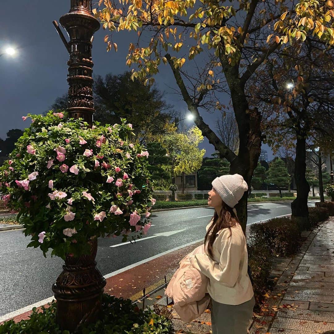 金海珍のインスタグラム：「🍂🍁🤖」