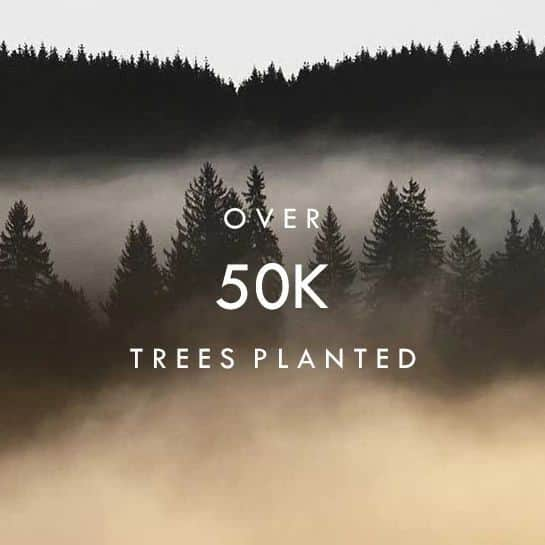 アズニさんのインスタグラム写真 - (アズニInstagram)「50,336 trees to be precise...  And we only have you to thank! Since we started our reforestation projects with @treenation , the 'Azuni forest' has grown rapidly.  And that's all down to you! We have pledged to planting not just ONE but FIVE TREES with every online purchase - which is a big - but very worthwhile  commitment for a small company like us.  So a BIG THANK YOU  to all our customers for supporting small, local businesses 💪🙌💗  #supportsmallbusiness #keepingitreal #slowfashion #ethicaljewellery #slowfashionmovement #slowfahionjewellery #azuni #reforestation #plant5trees」11月9日 21時59分 - azunilondon